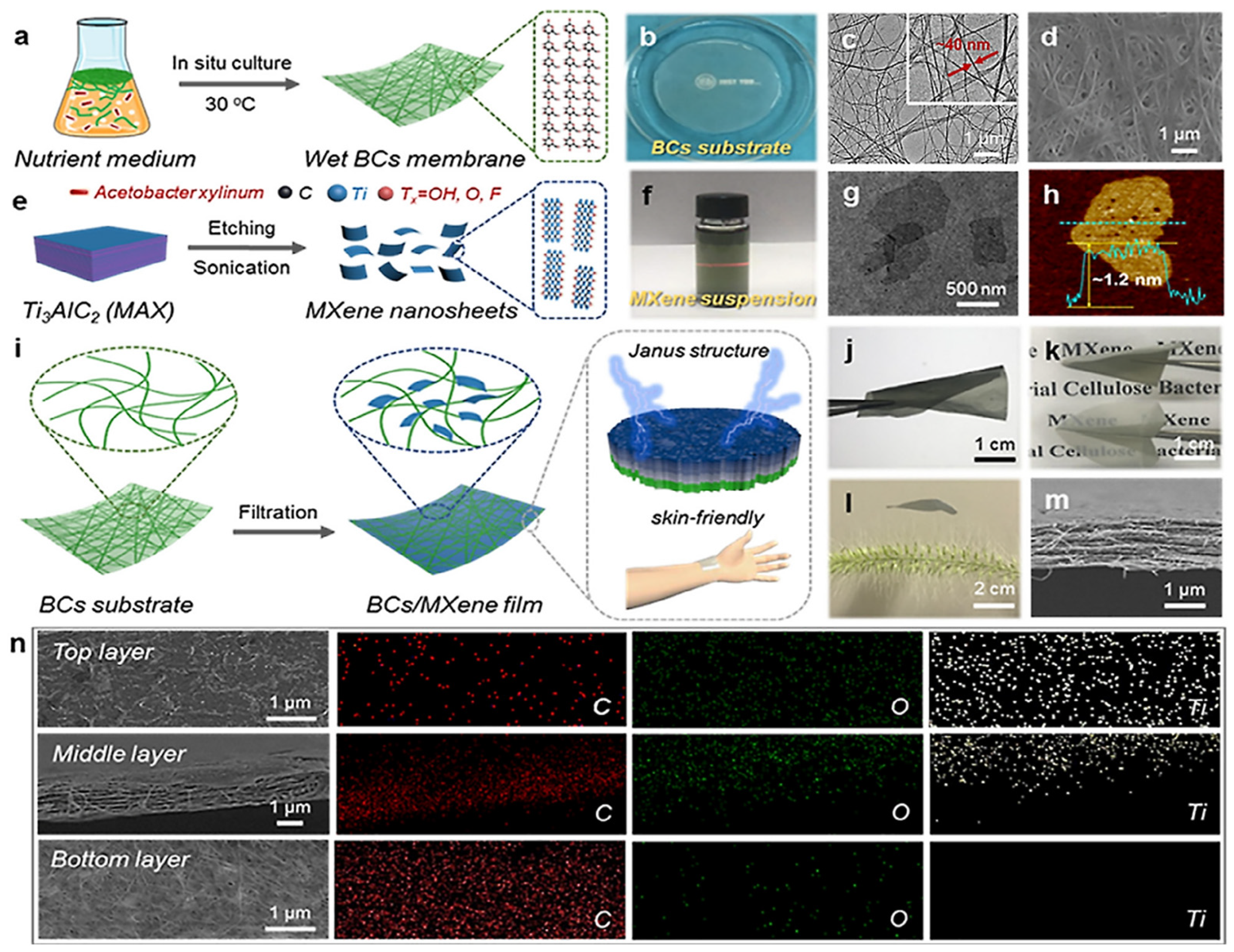 Polymers 15 04067 g002
