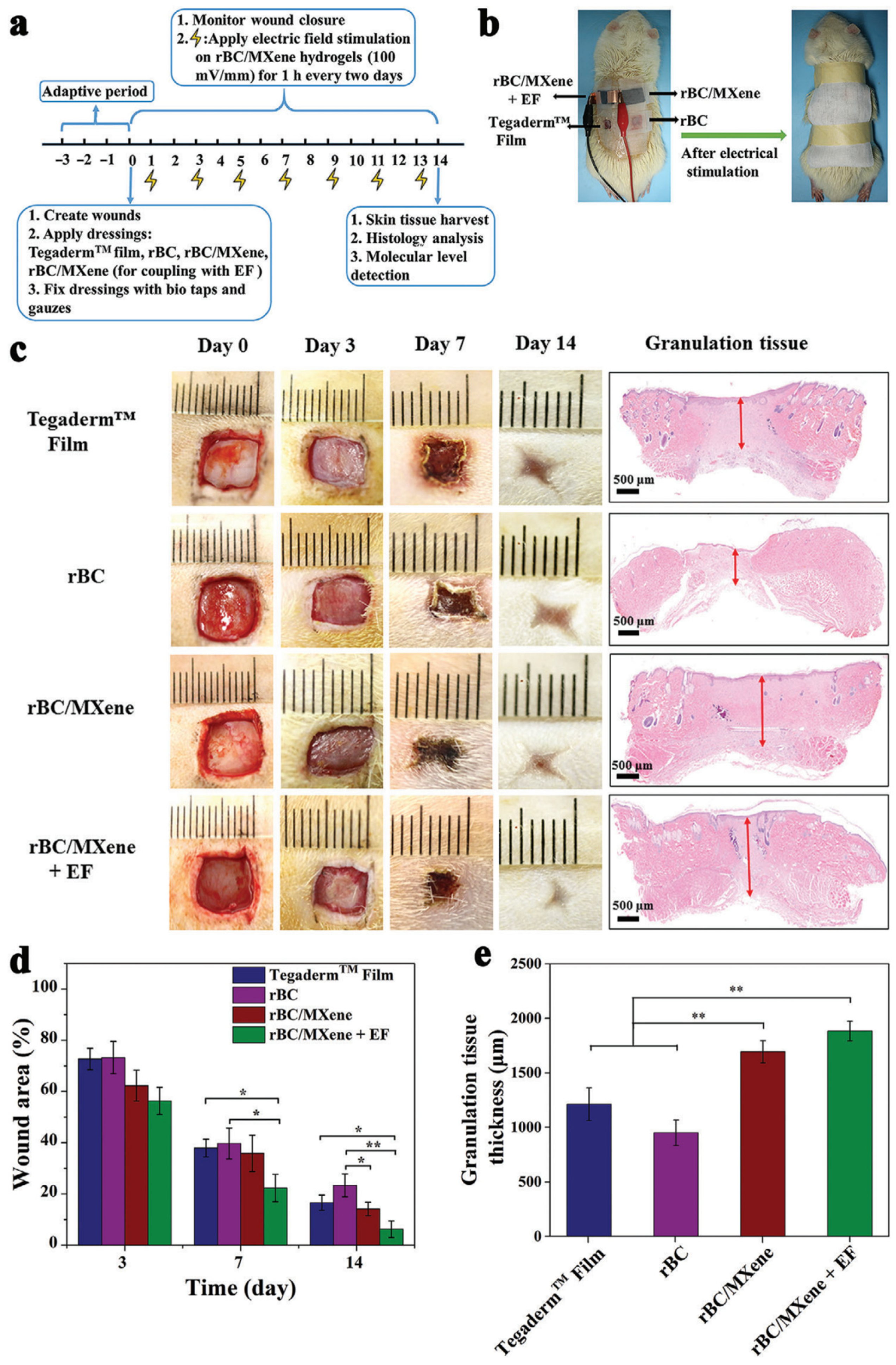 Polymers 15 04067 g012