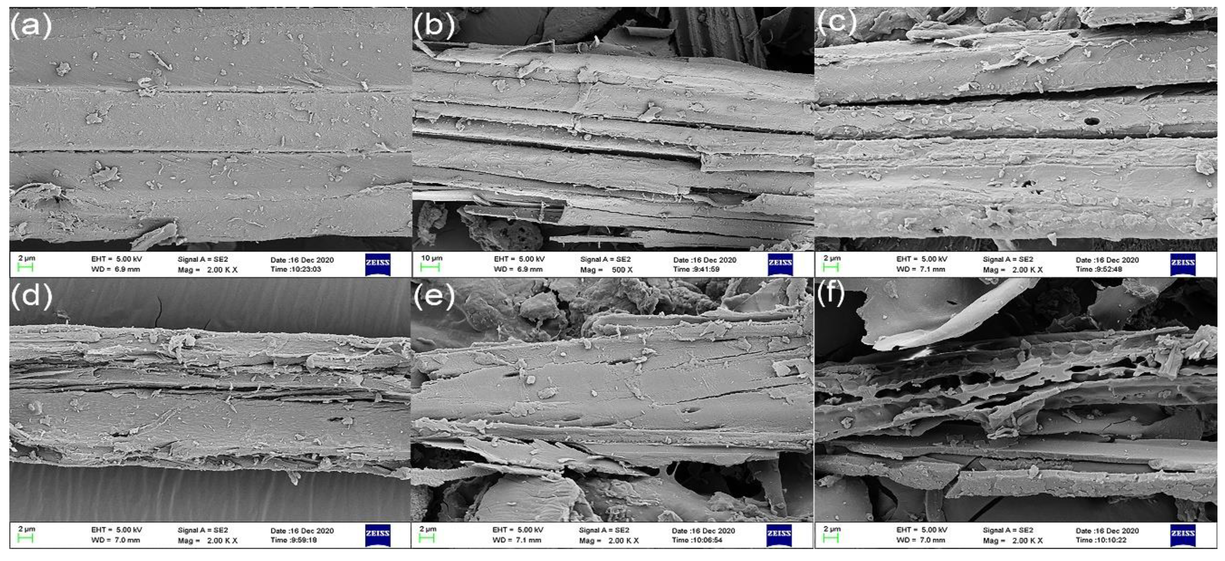 Polymers 15 04069 g006