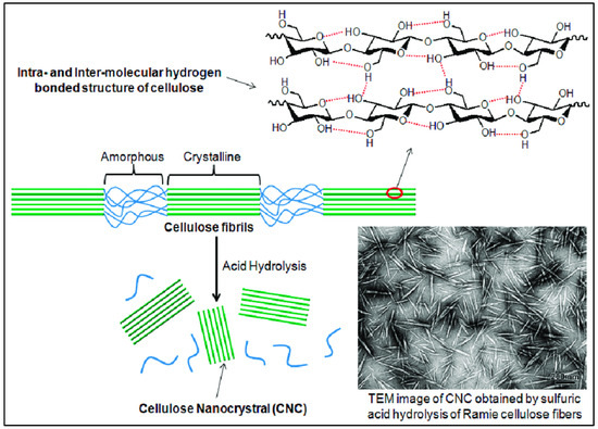 Polymers 15 04070 g005