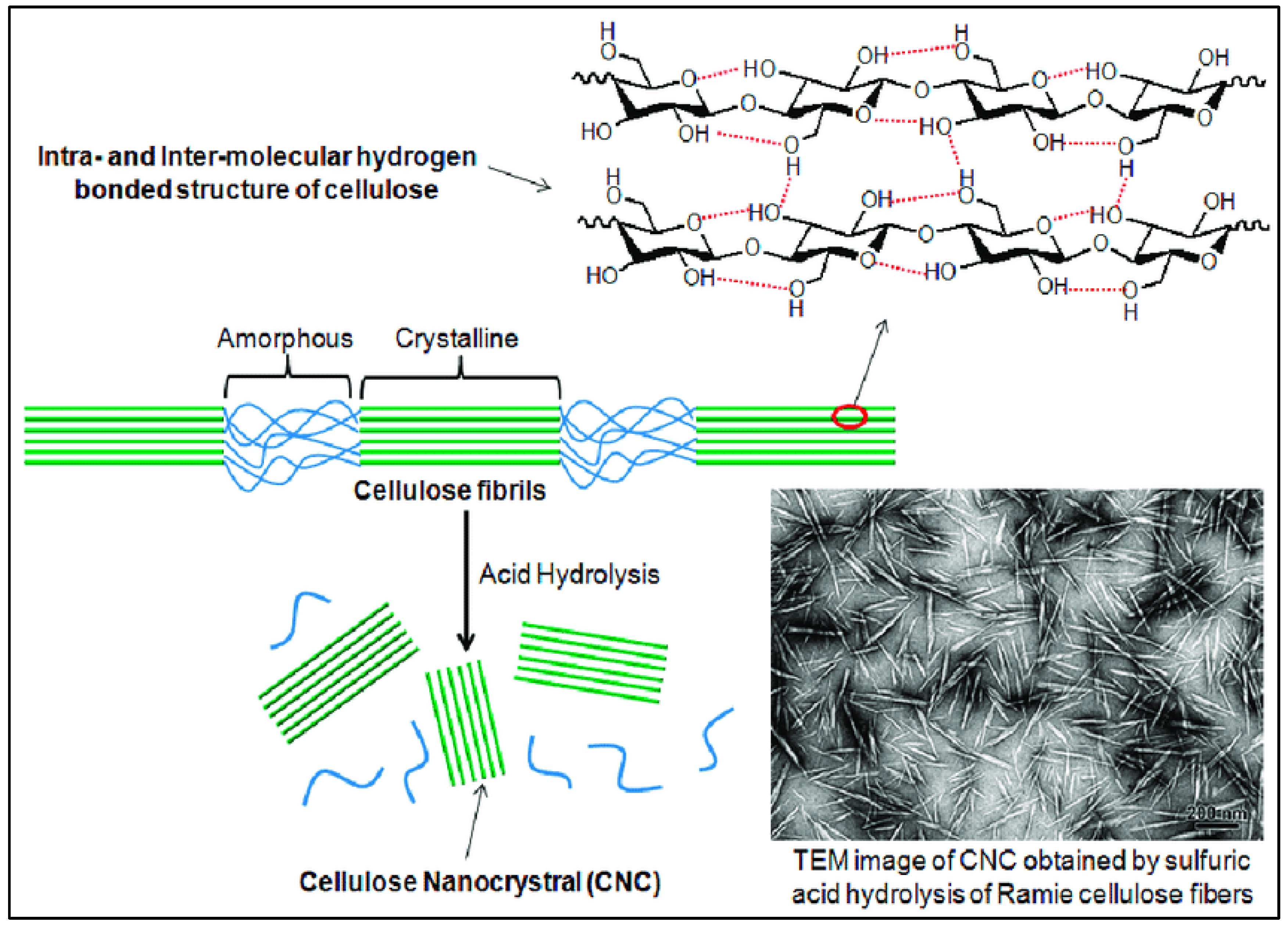 Polymers 15 04070 g005