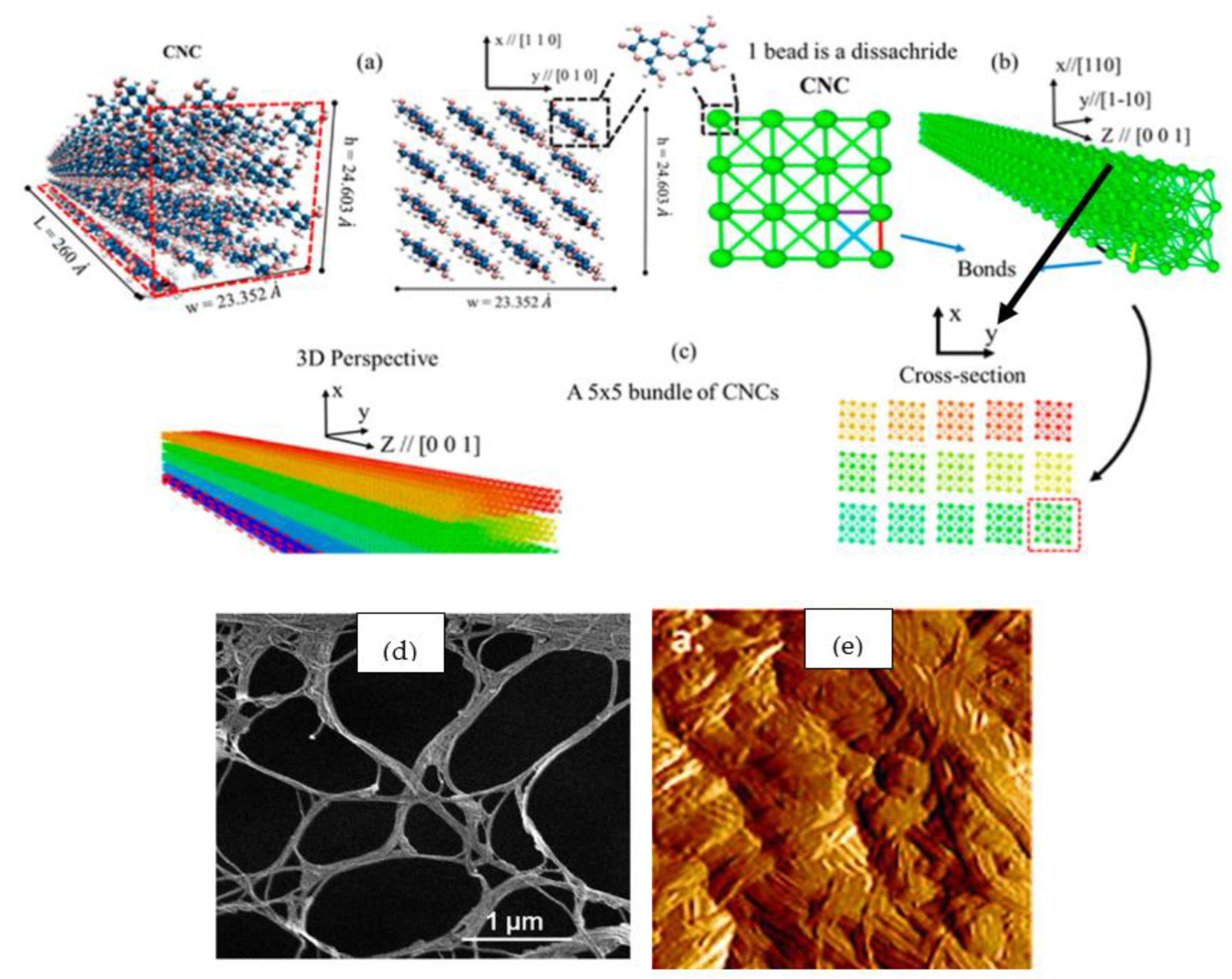 Polymers 15 04070 g007