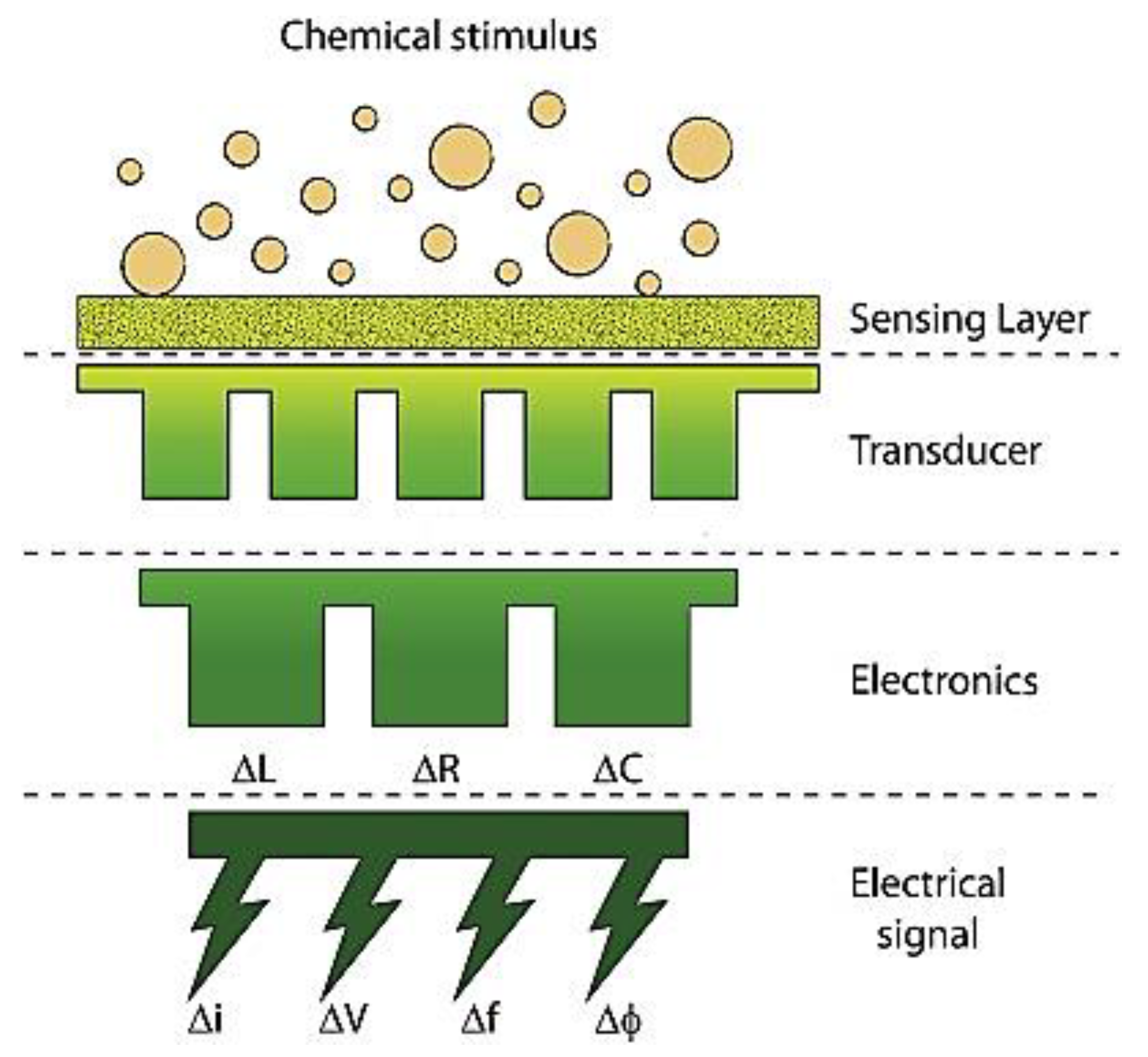 Polymers 15 04070 g012