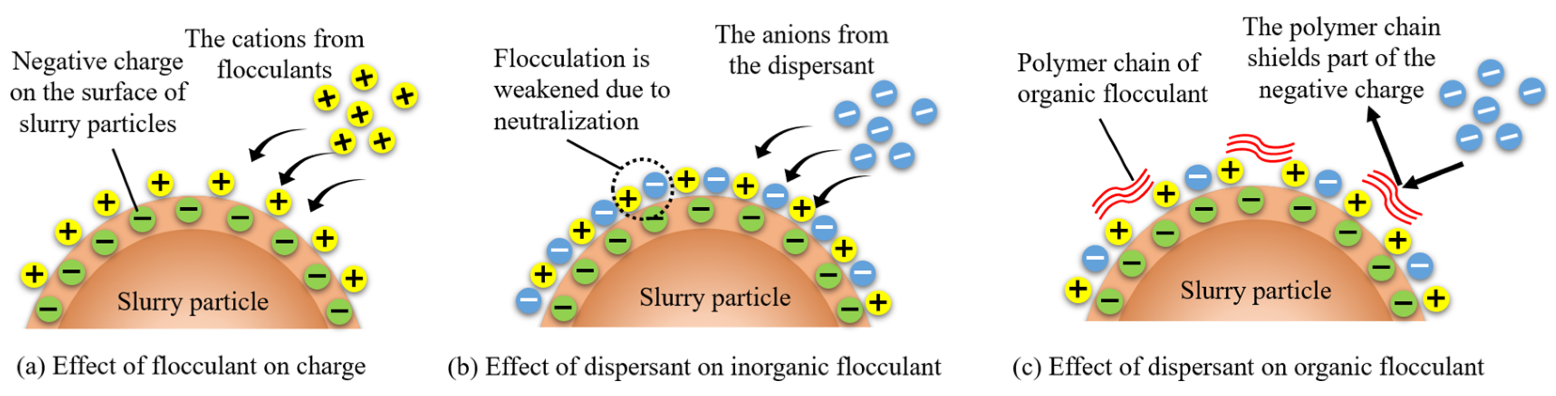 Polymers 15 04073 g021