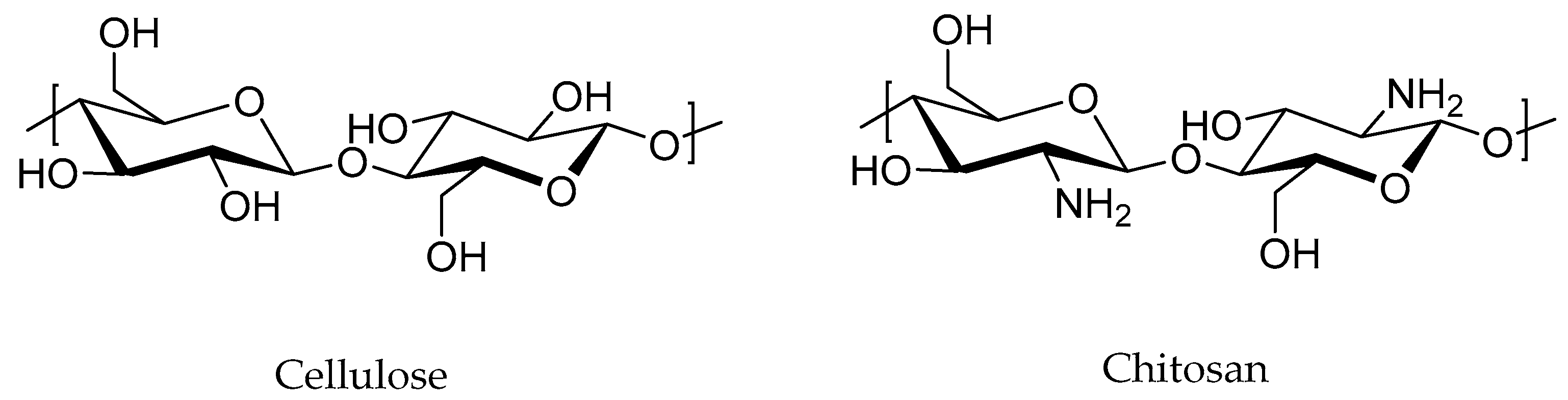 Polymers 15 04074 g006 Polymers 15 04074 g006