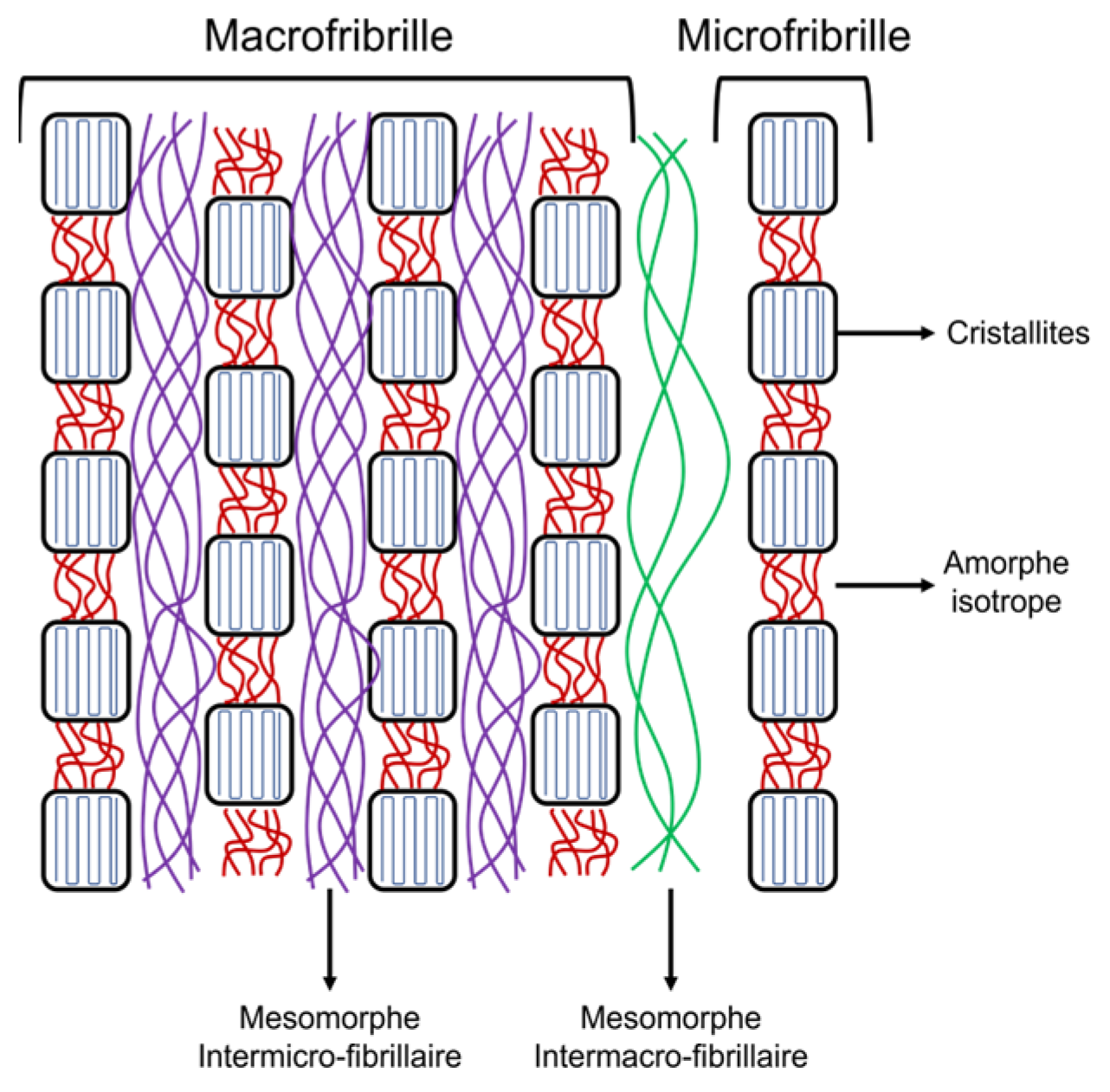 Polymers 15 04075 g005
