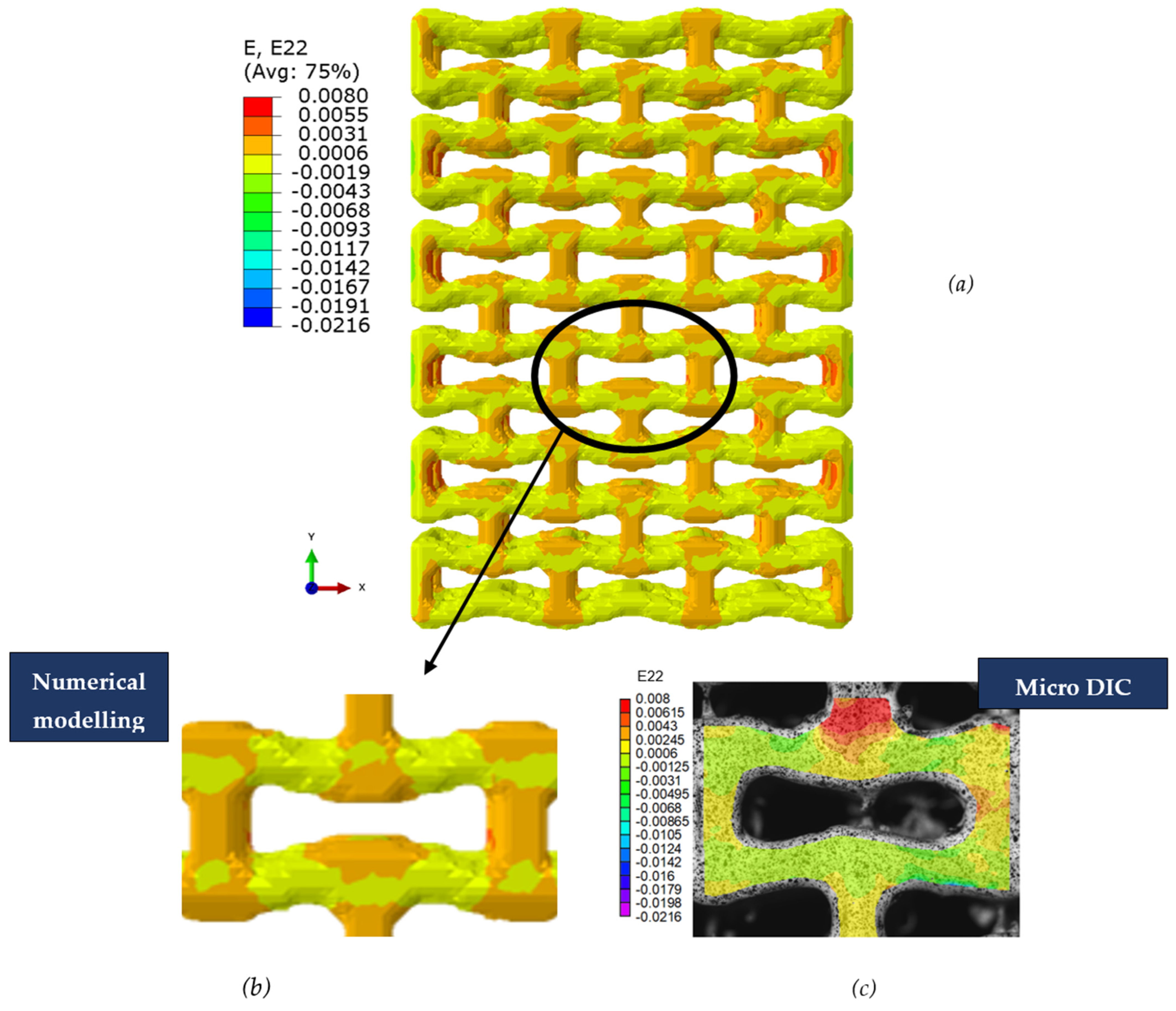 Polymers 15 04076 g009