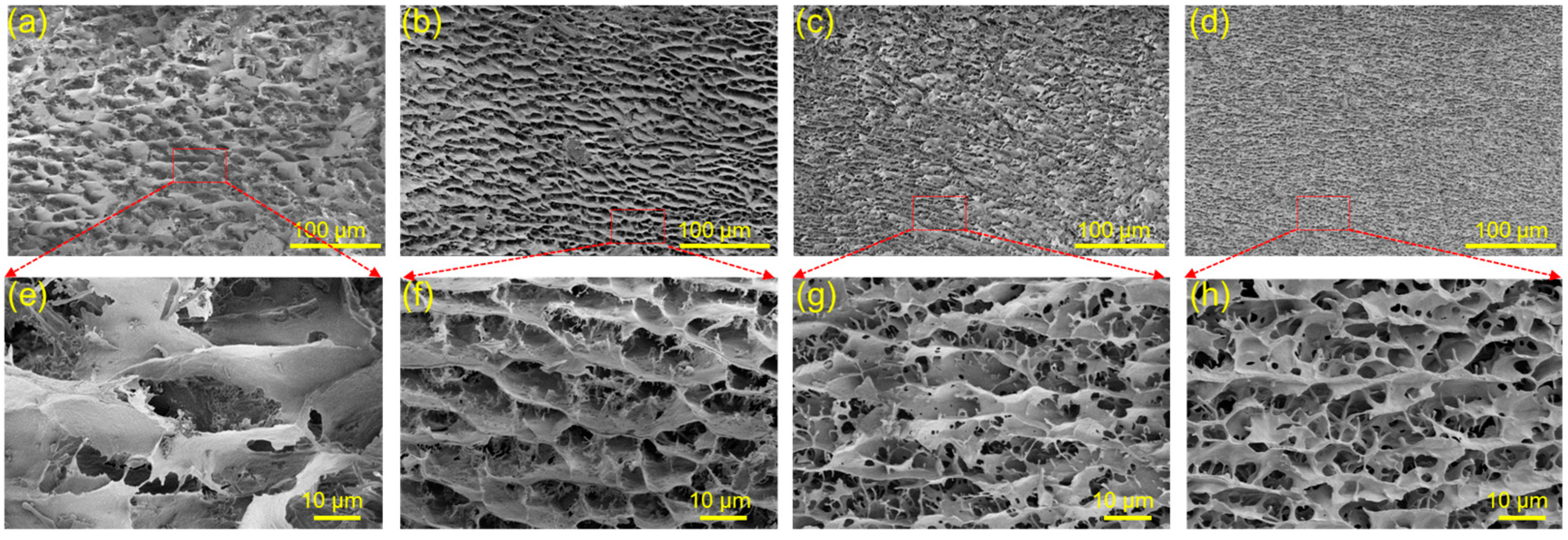 Polymers 15 04092 g006