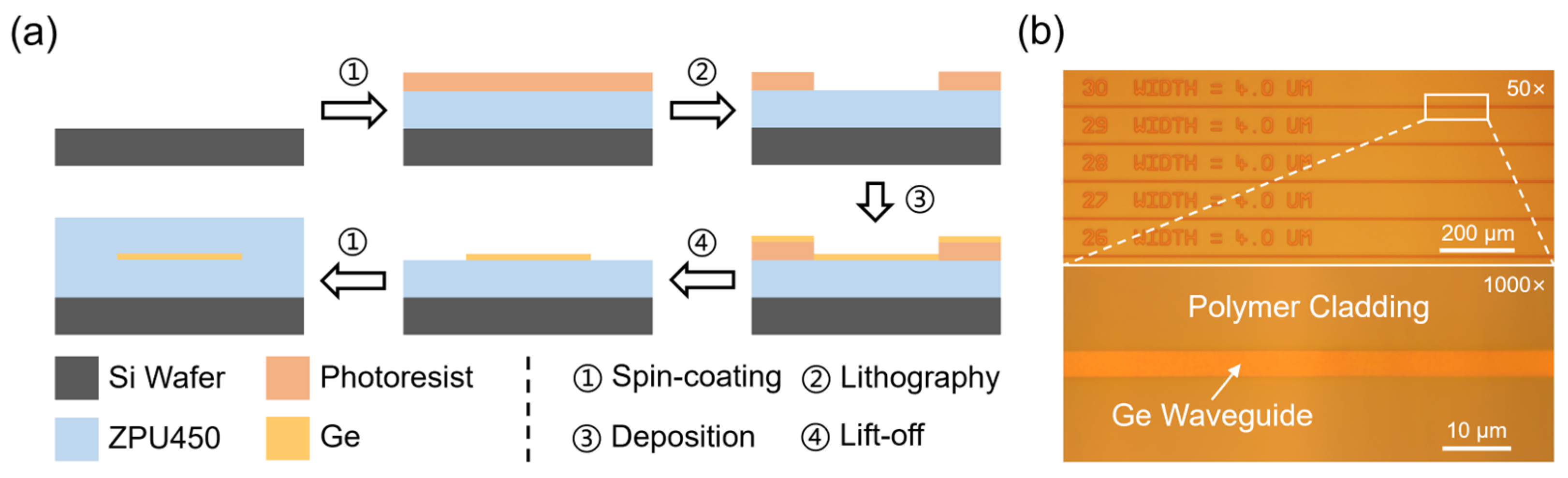 Polymers 15 04093 g002