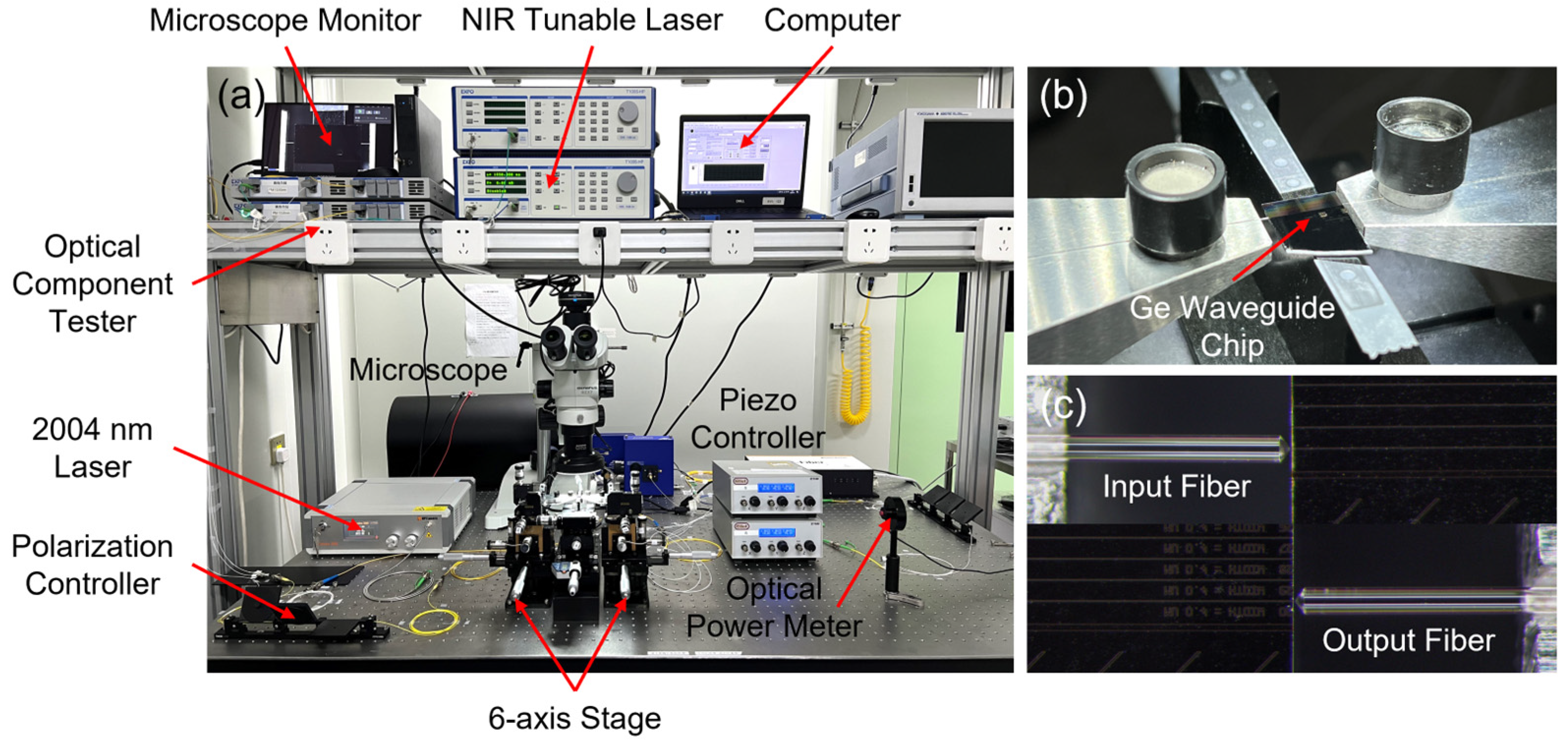 Polymers 15 04093 g003