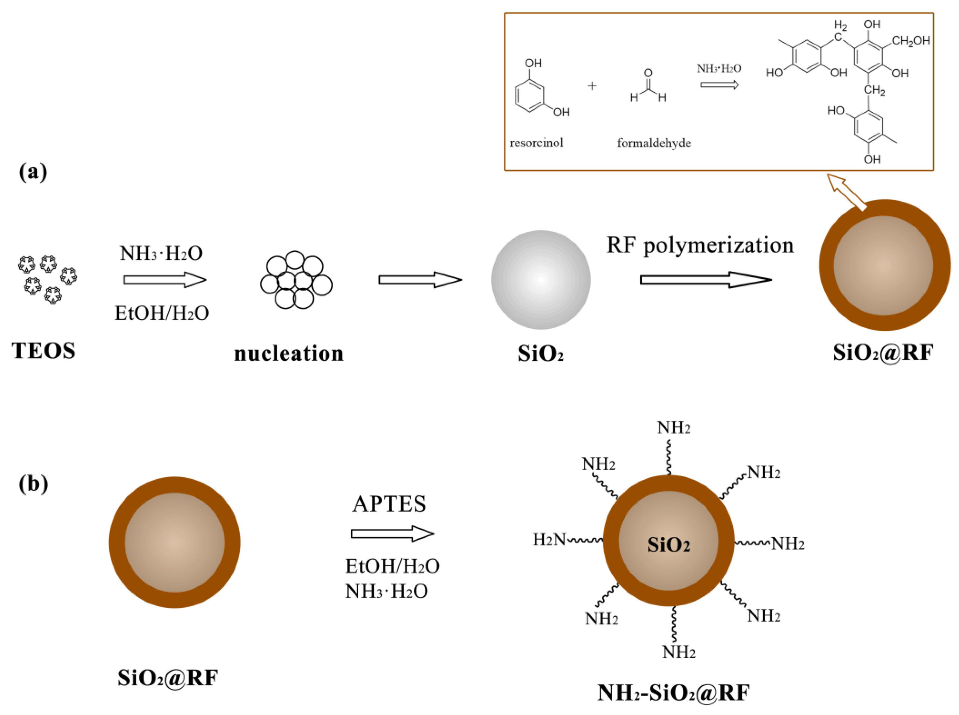Polymers 15 04094 g001