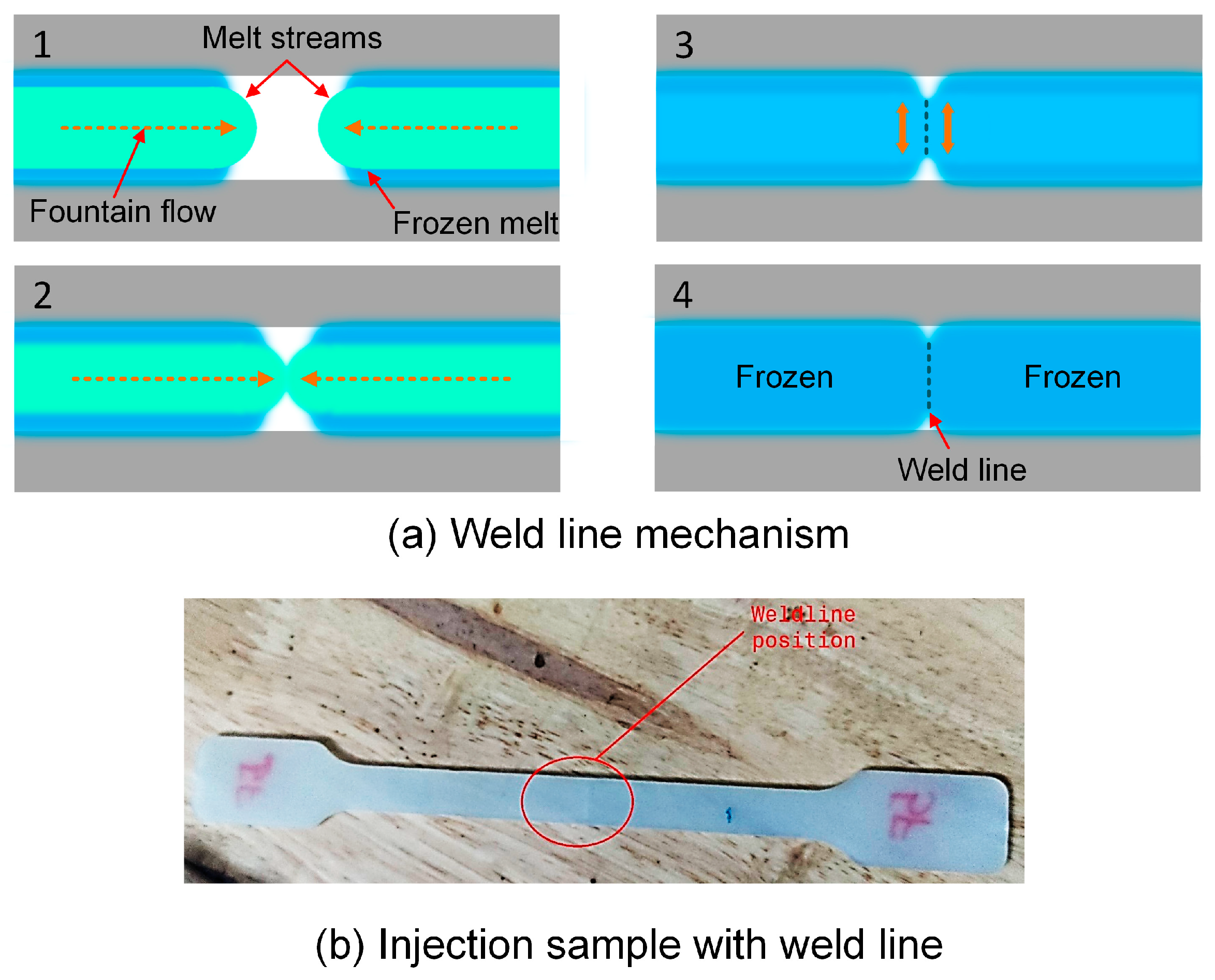 Polymers 15 04102 g001