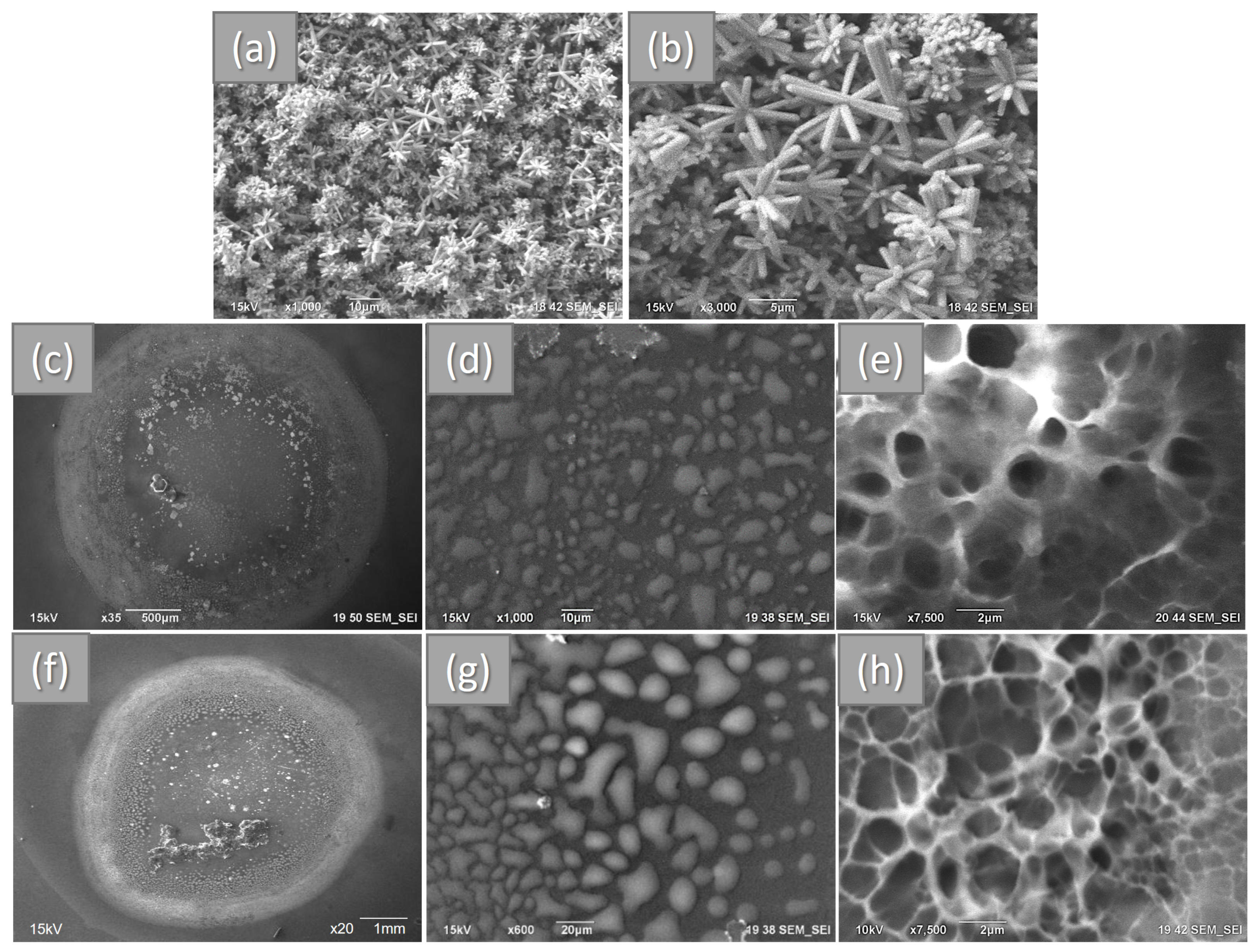 Polymers 15 04105 g001