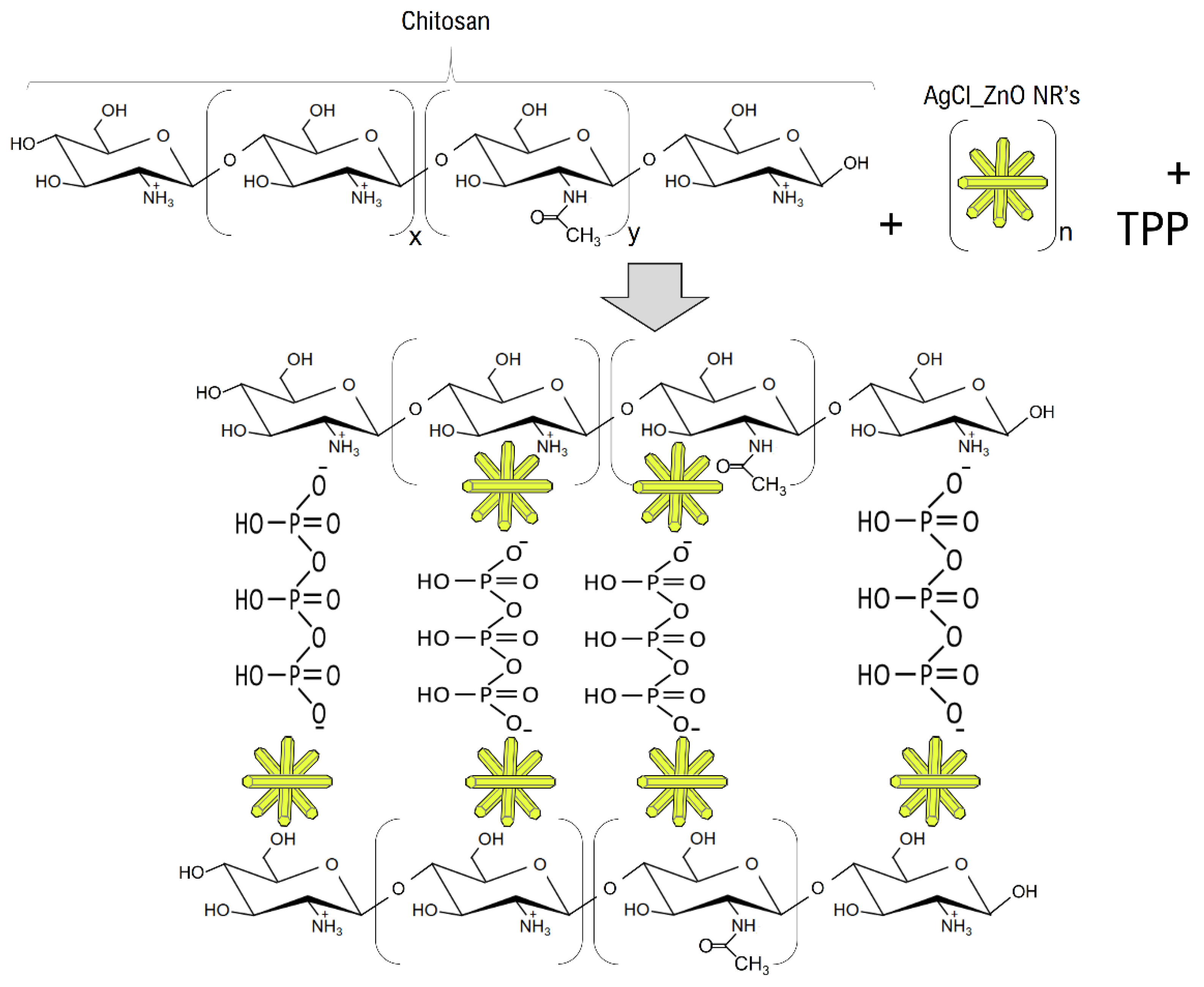 Polymers 15 04105 g004