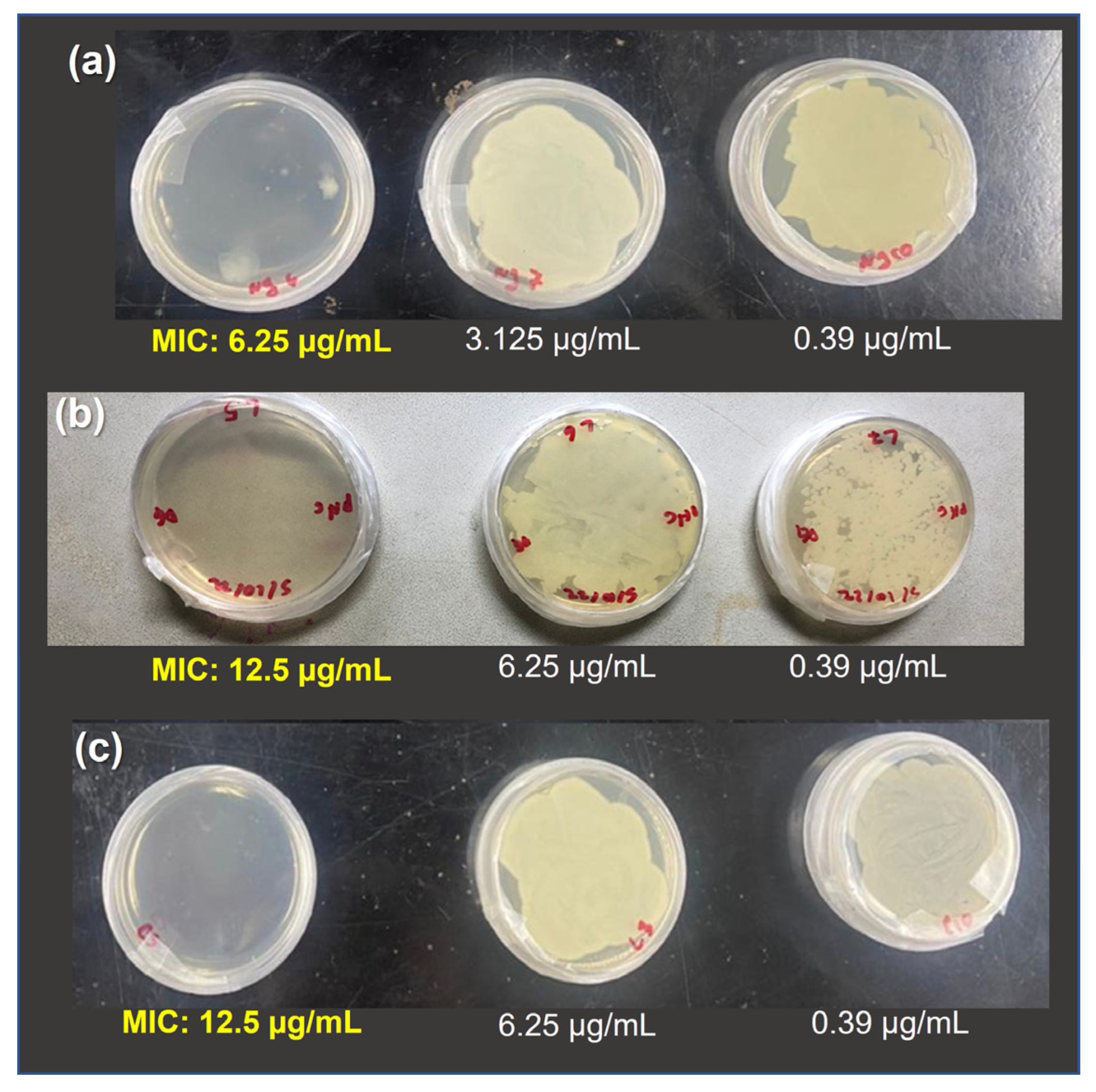 Polymers 15 04105 g006