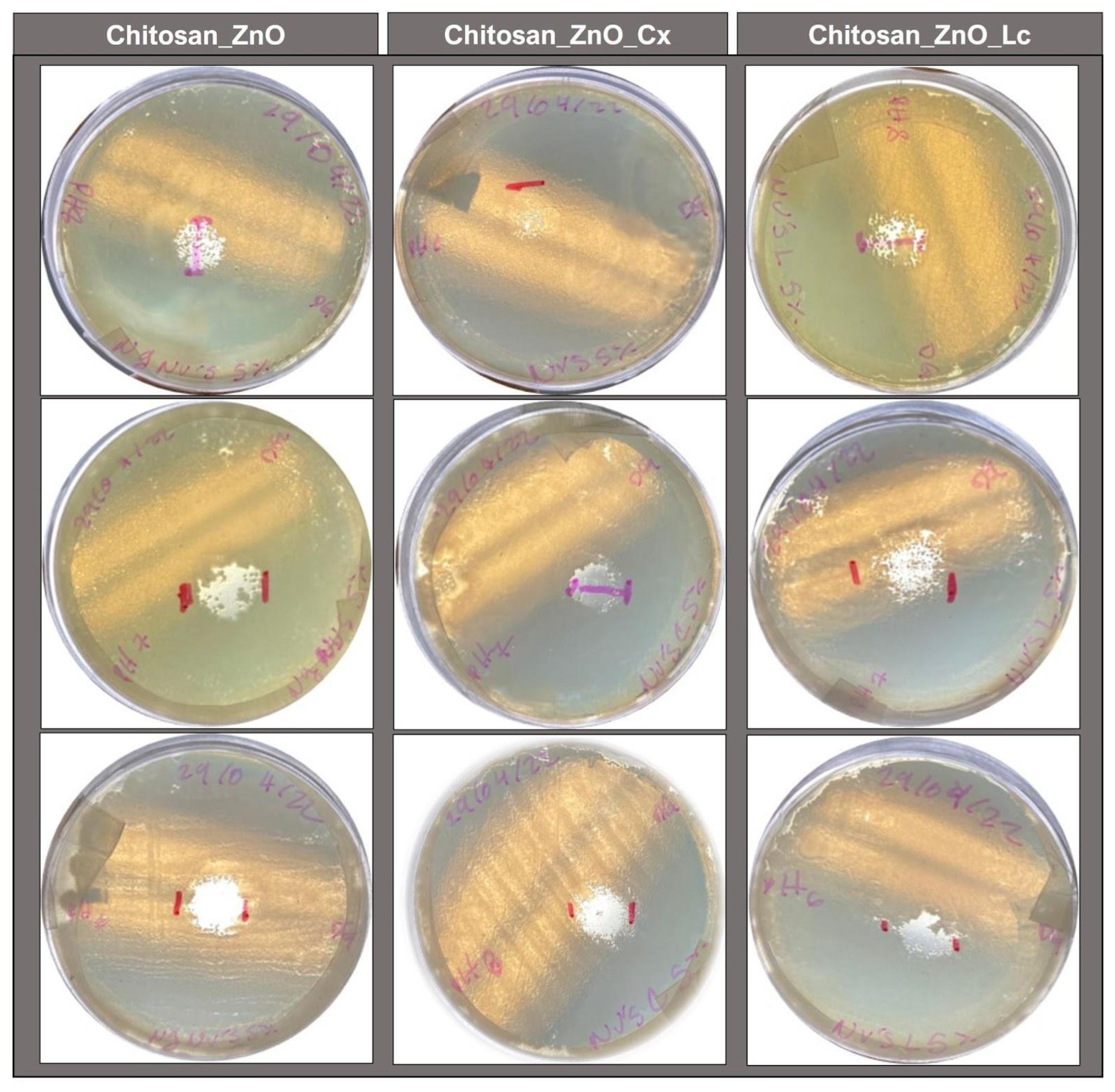 Polymers 15 04105 g007