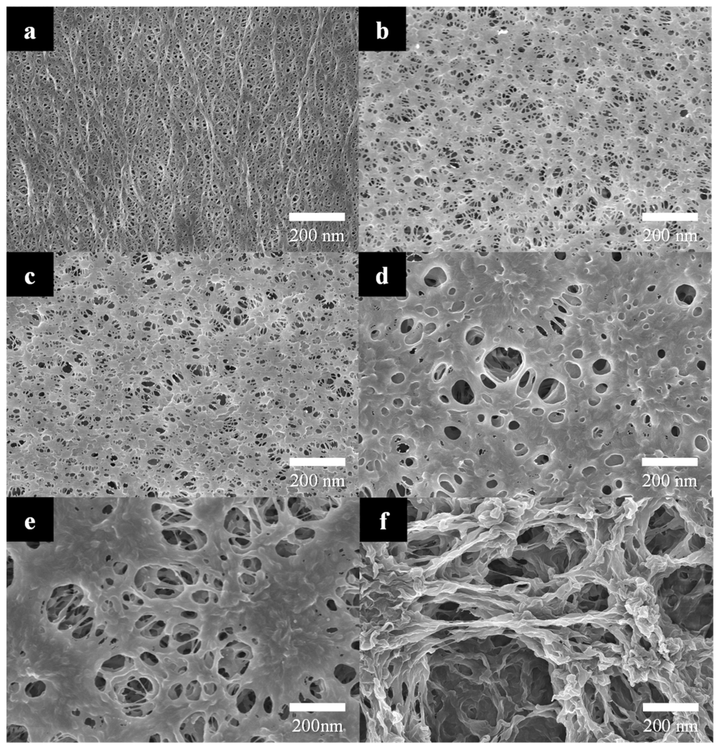 Polymers 15 04108 g003