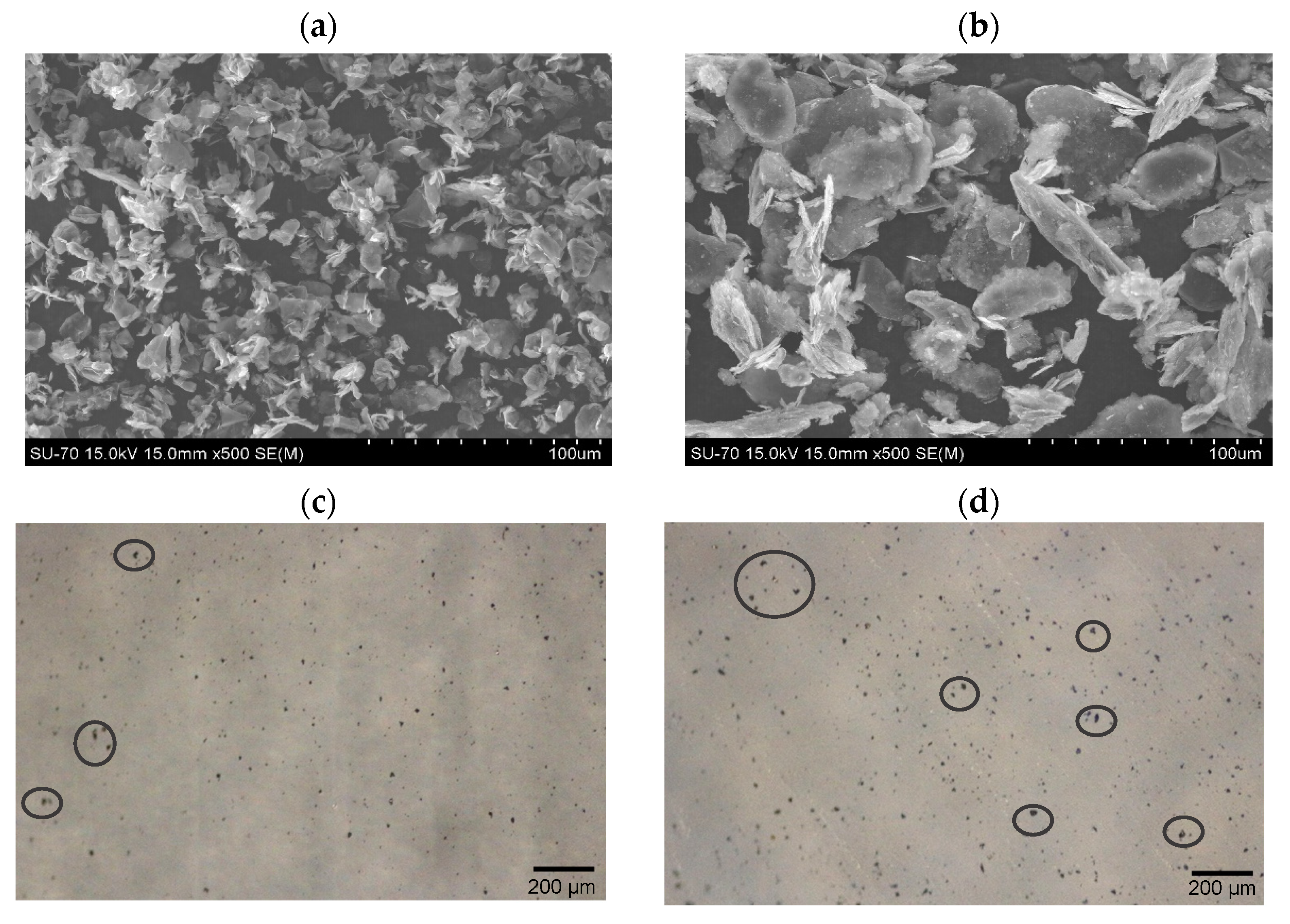Polymers 15 04109 g001