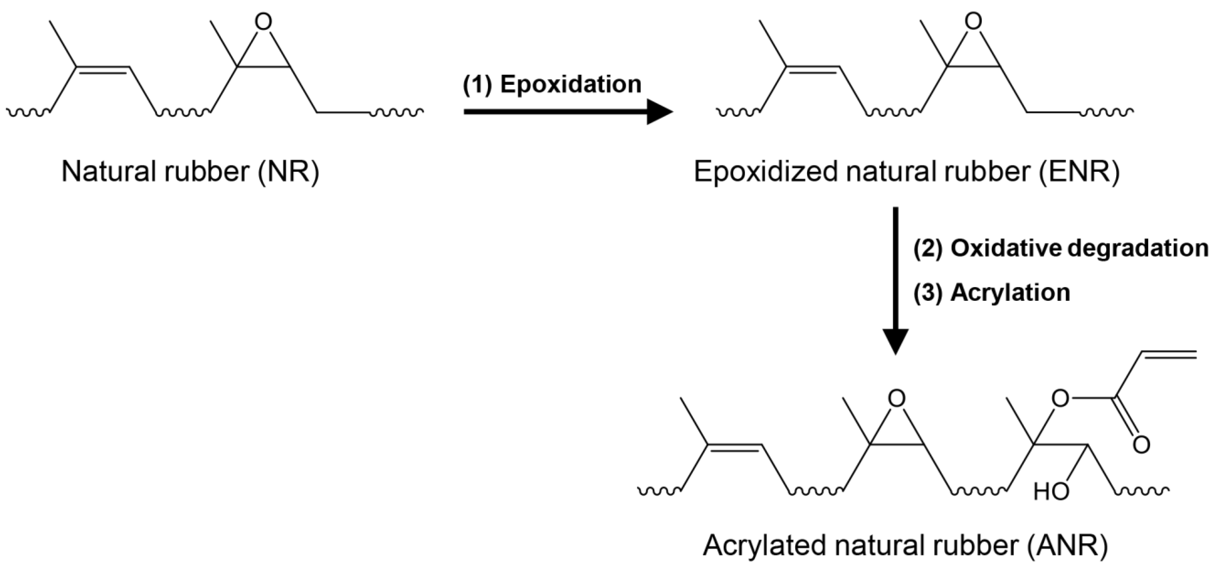 Polymers 15 04110 g001