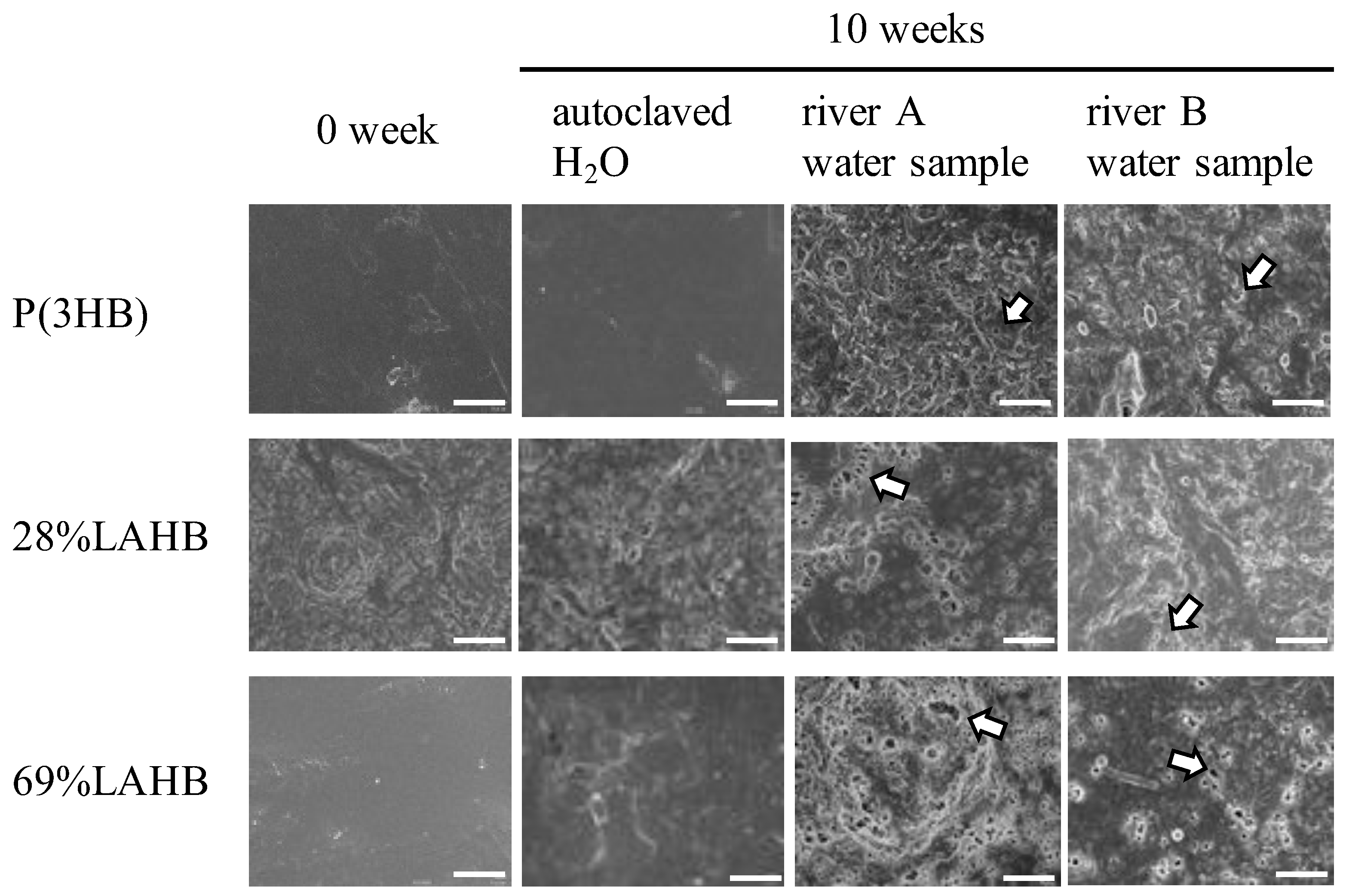 Polymers 15 04111 g003