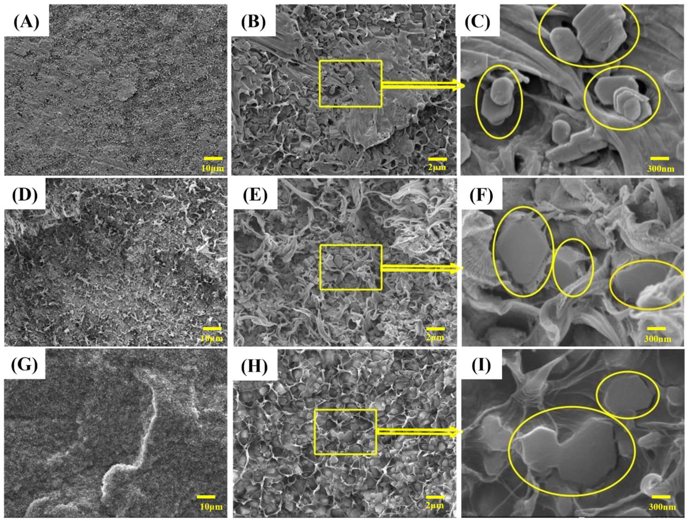 Polymers 15 04115 g005