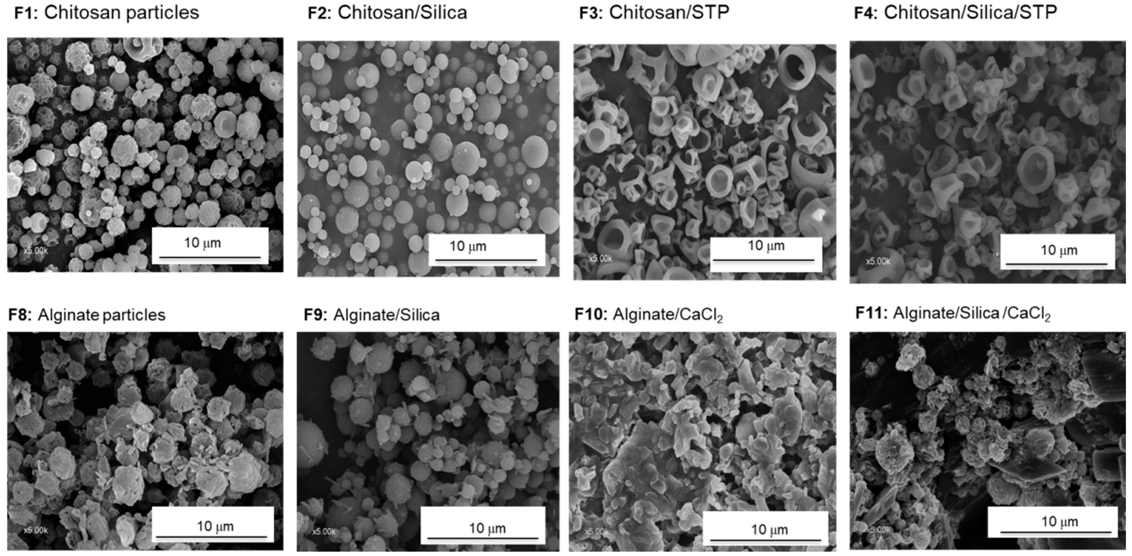 Polymers 15 04116 g003