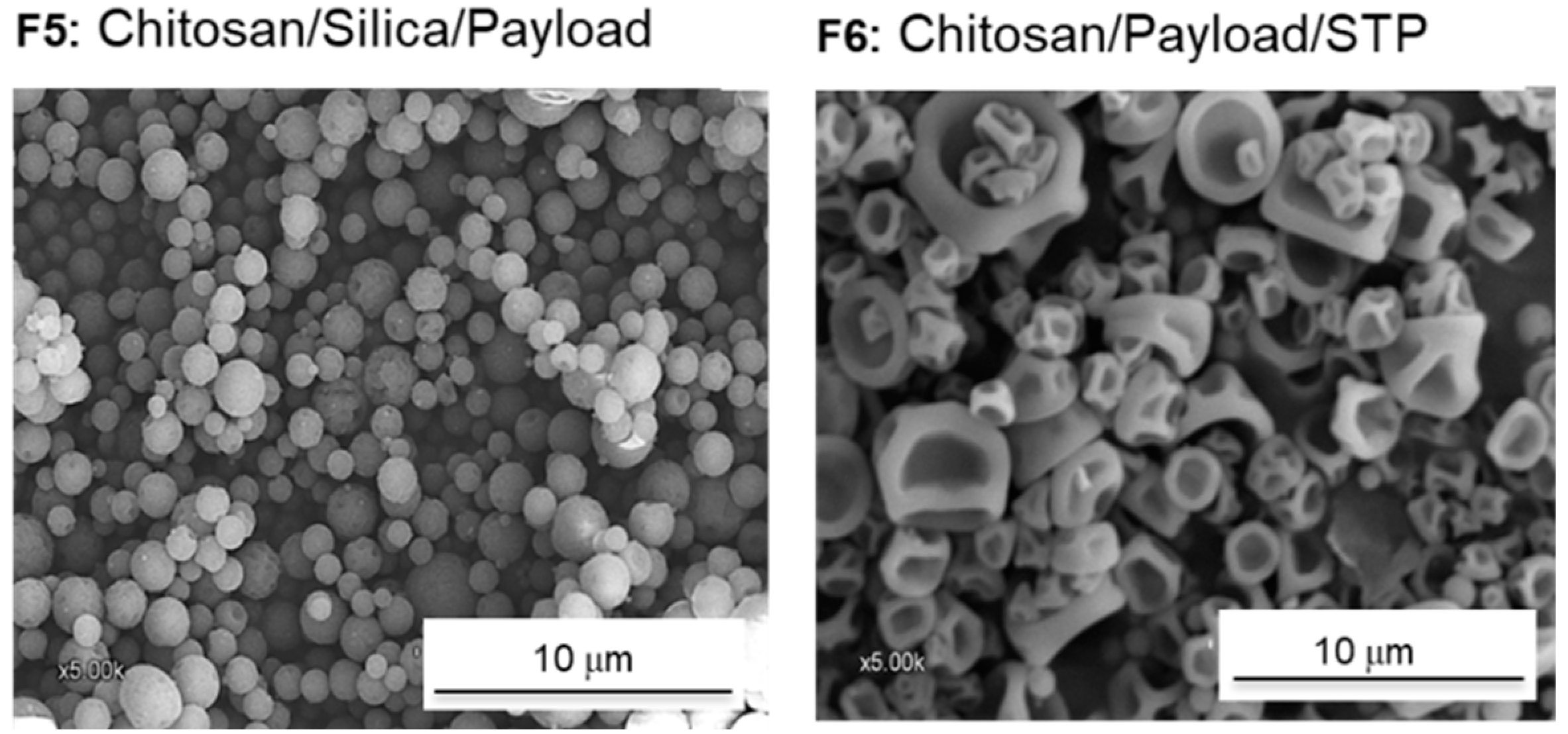 Polymers 15 04116 g004