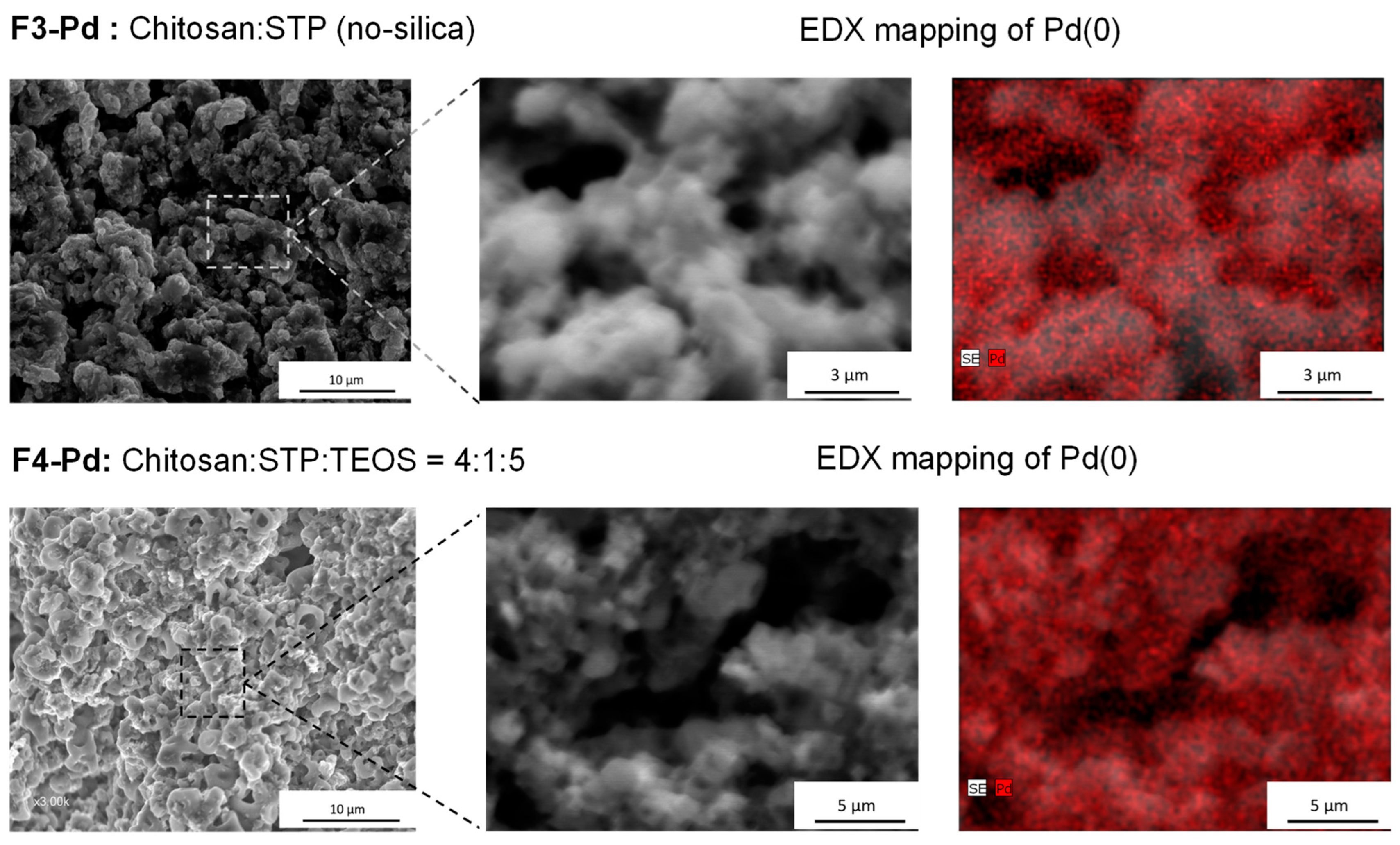 Polymers 15 04116 g006