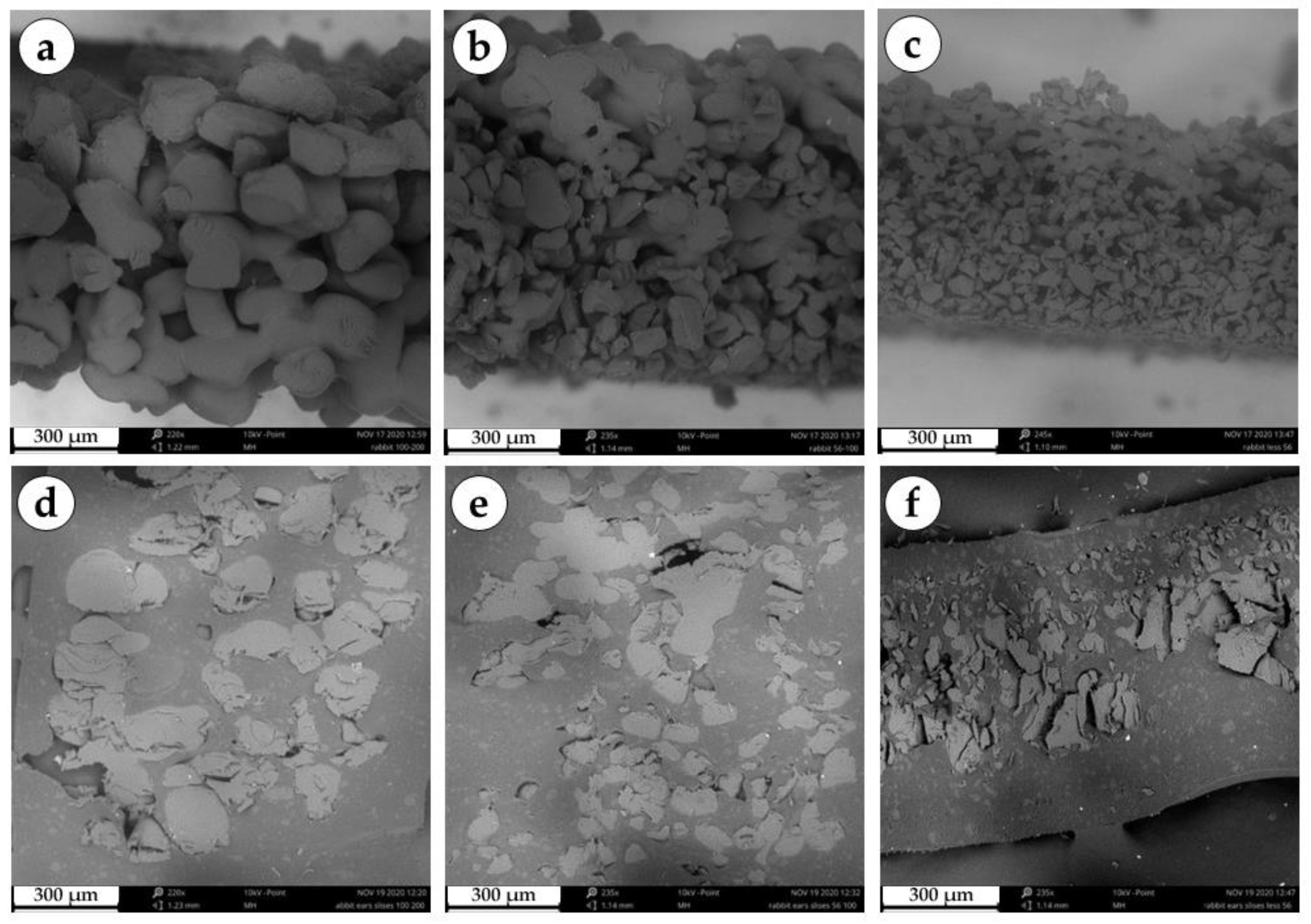 Polymers 15 04119 g001