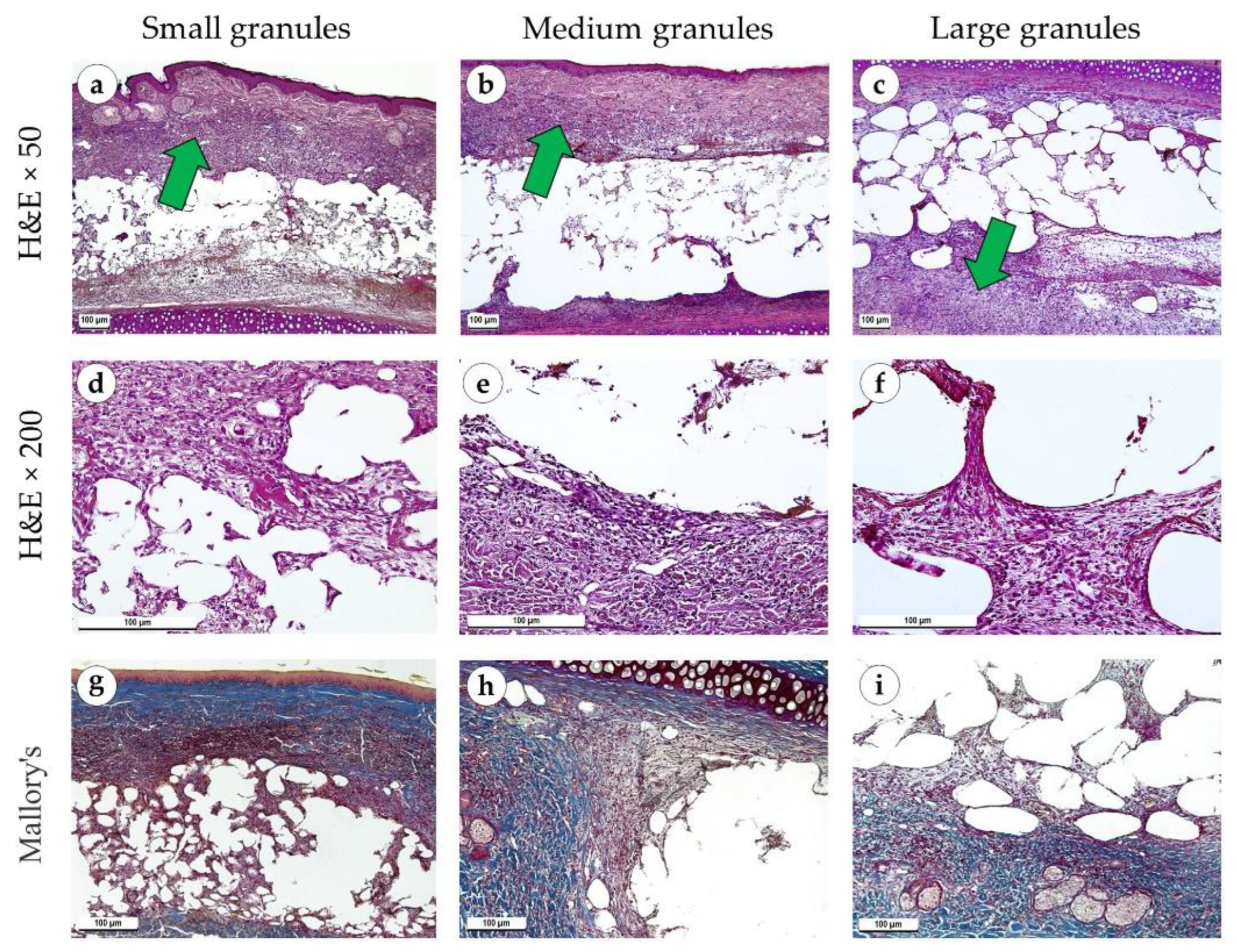 Polymers 15 04119 g004