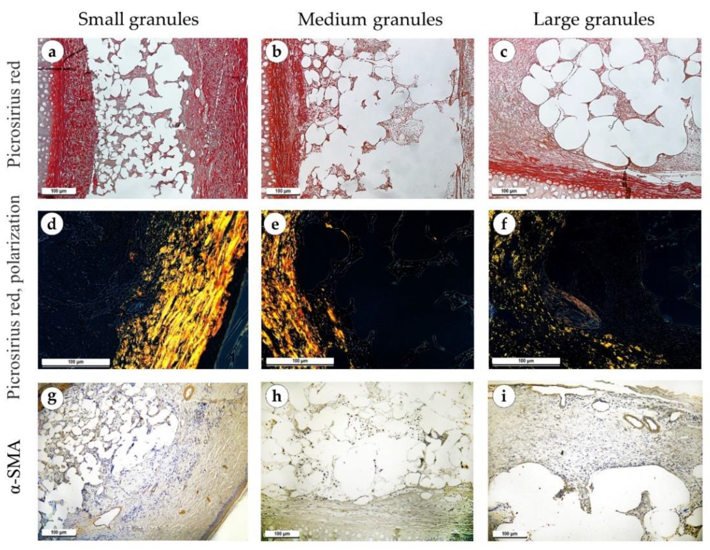 Polymers 15 04119 g005