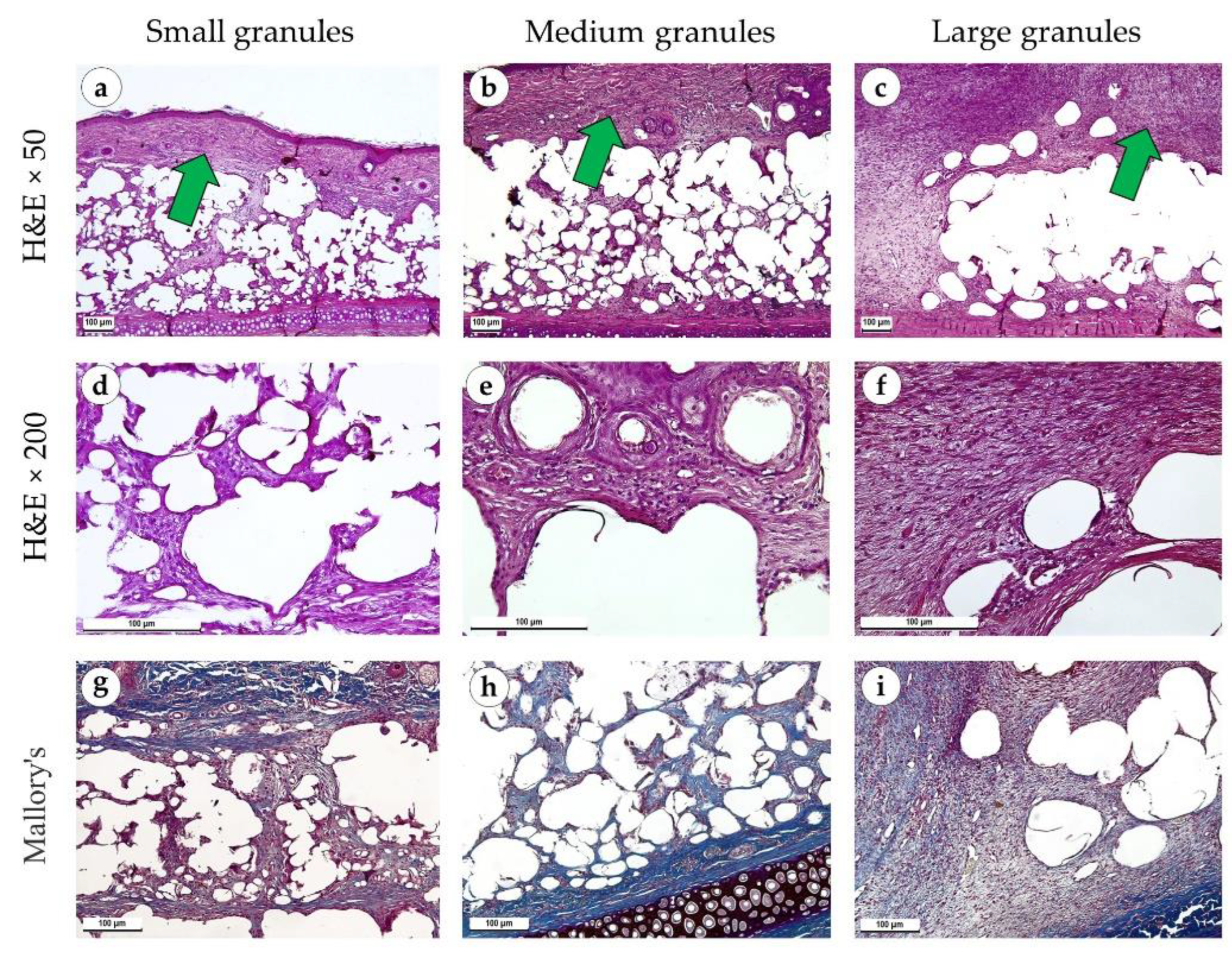 Polymers 15 04119 g006