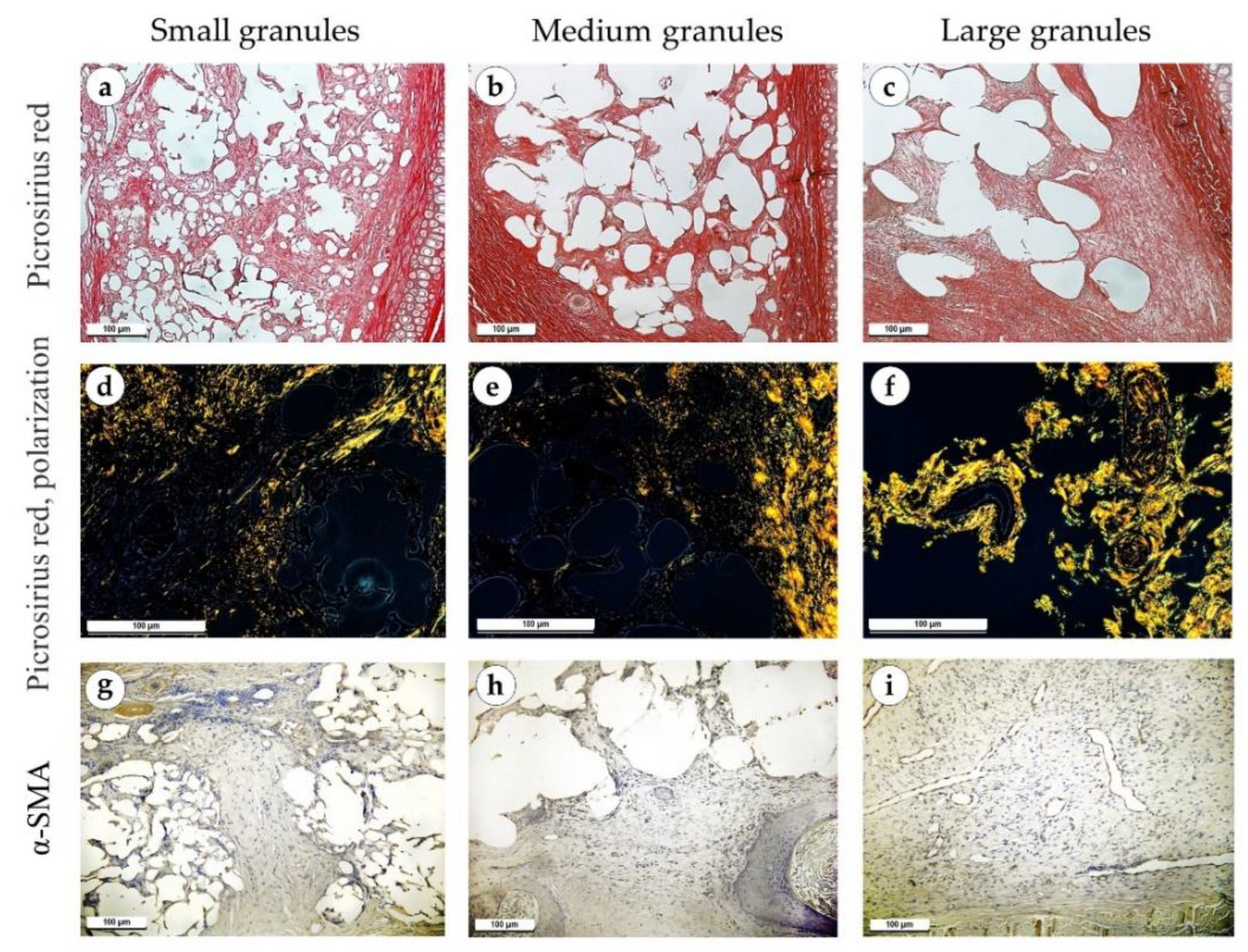 Polymers 15 04119 g007