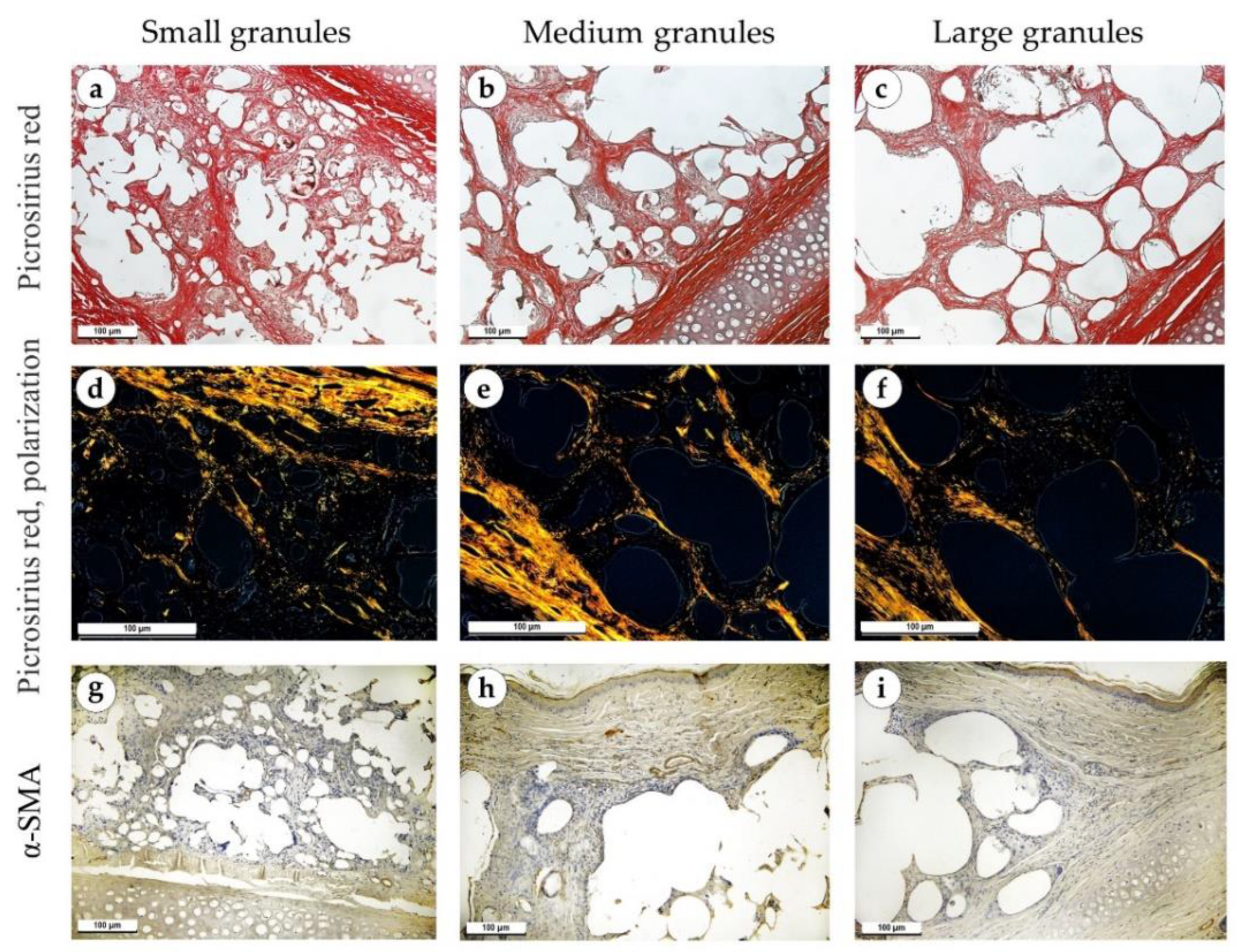 Polymers 15 04119 g009