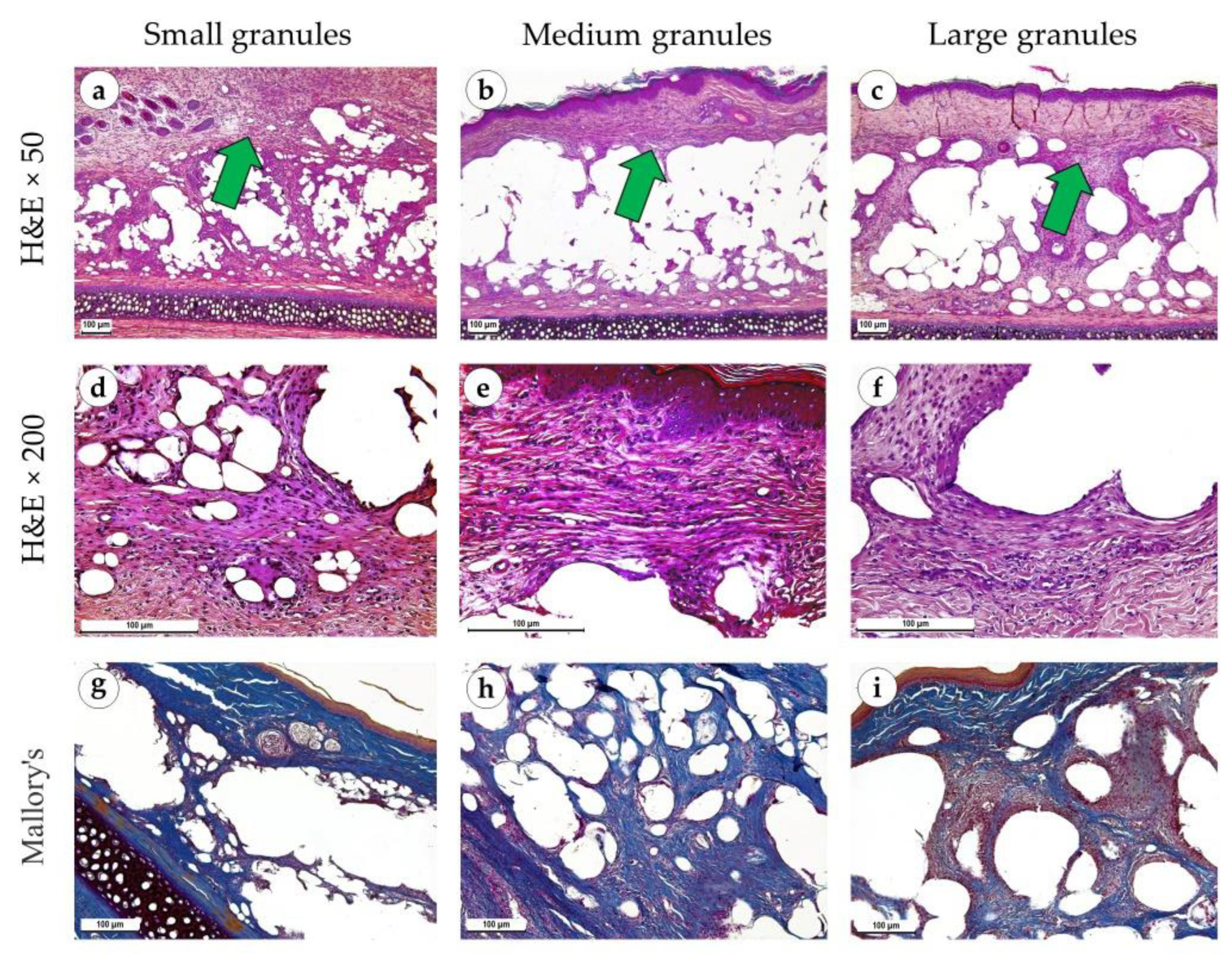Polymers 15 04119 g010