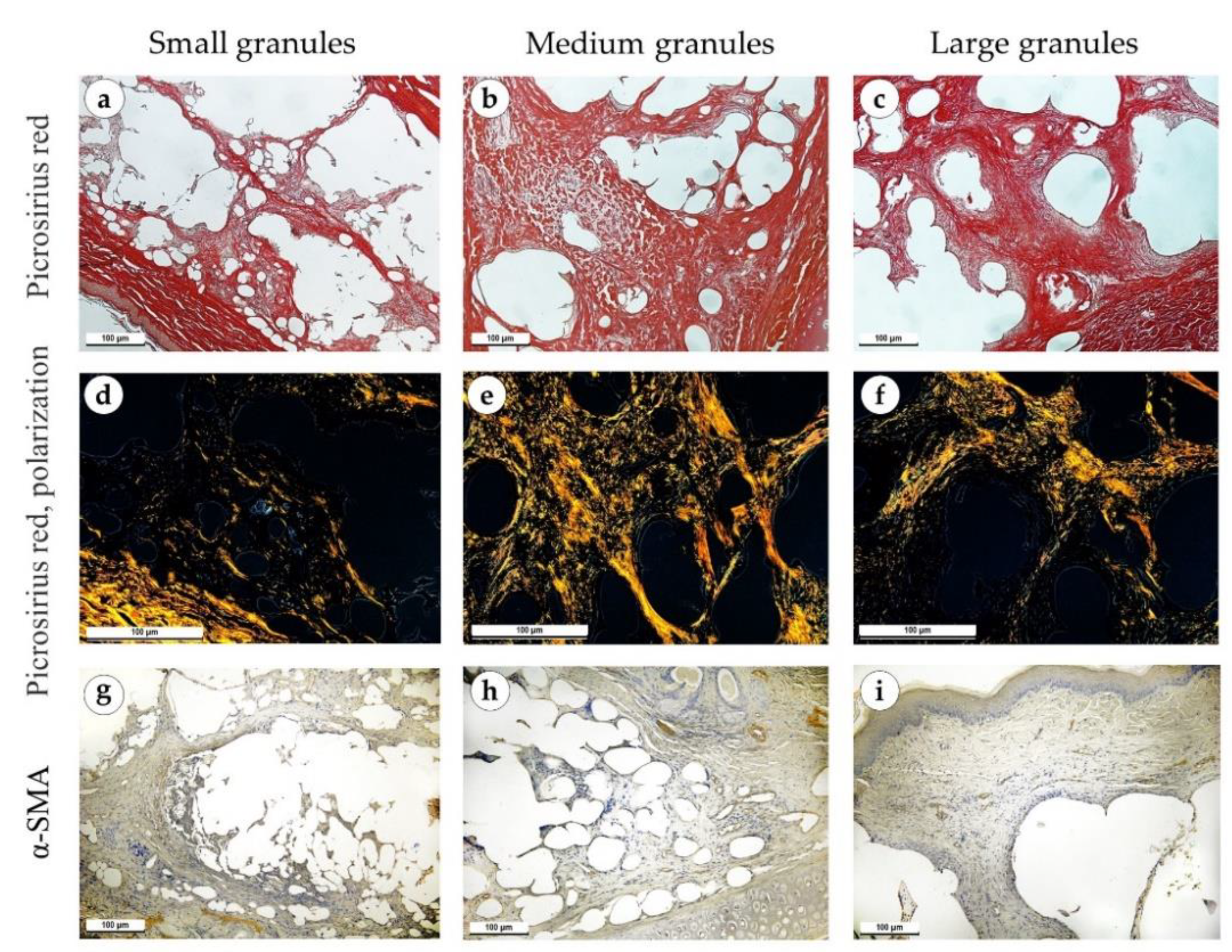 Polymers 15 04119 g011