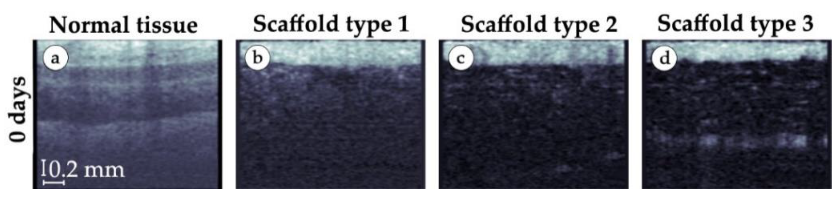 Polymers 15 04119 g014