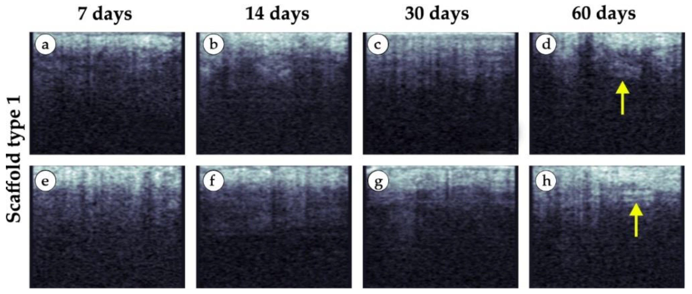 Polymers 15 04119 g015