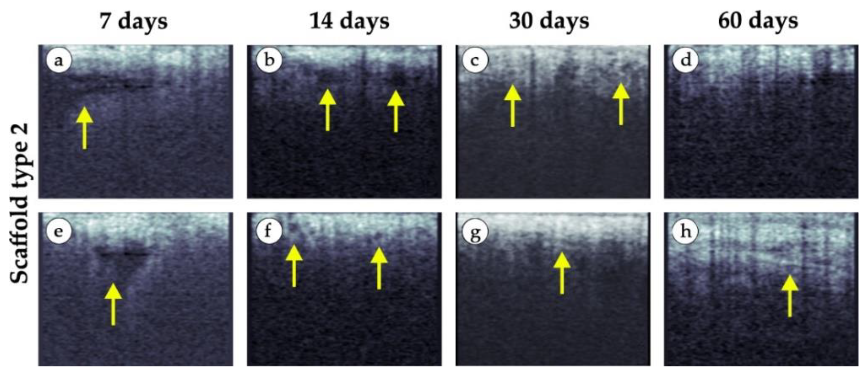 Polymers 15 04119 g016