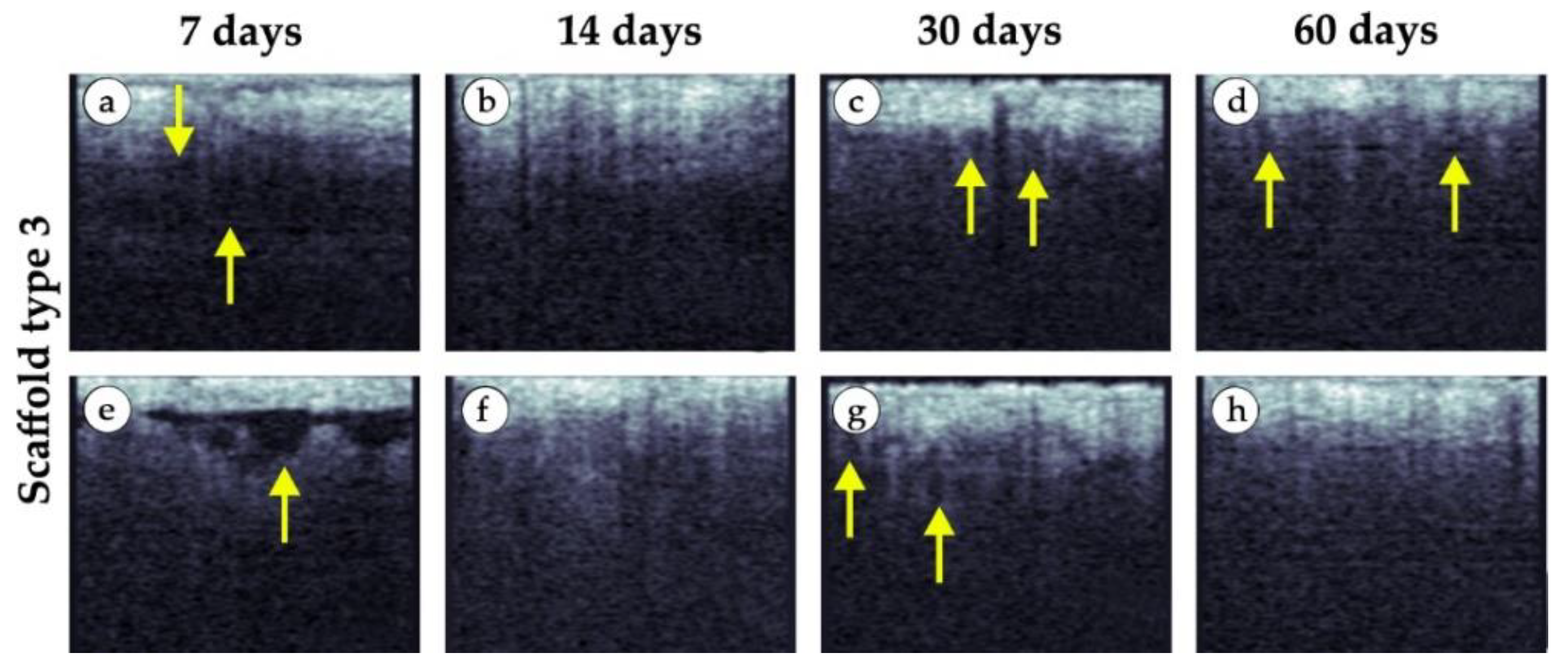 Polymers 15 04119 g017