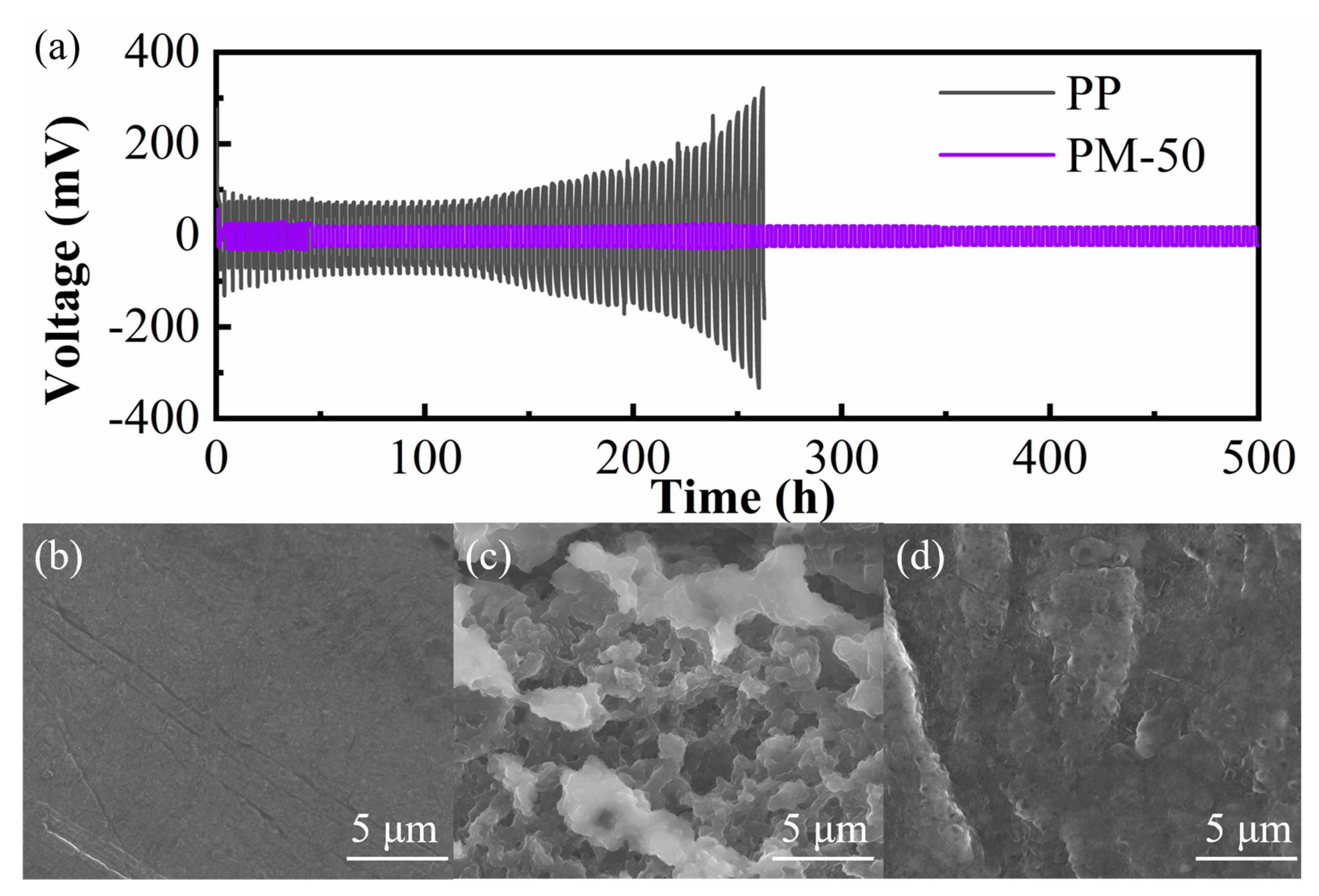 Polymers 15 04120 g008