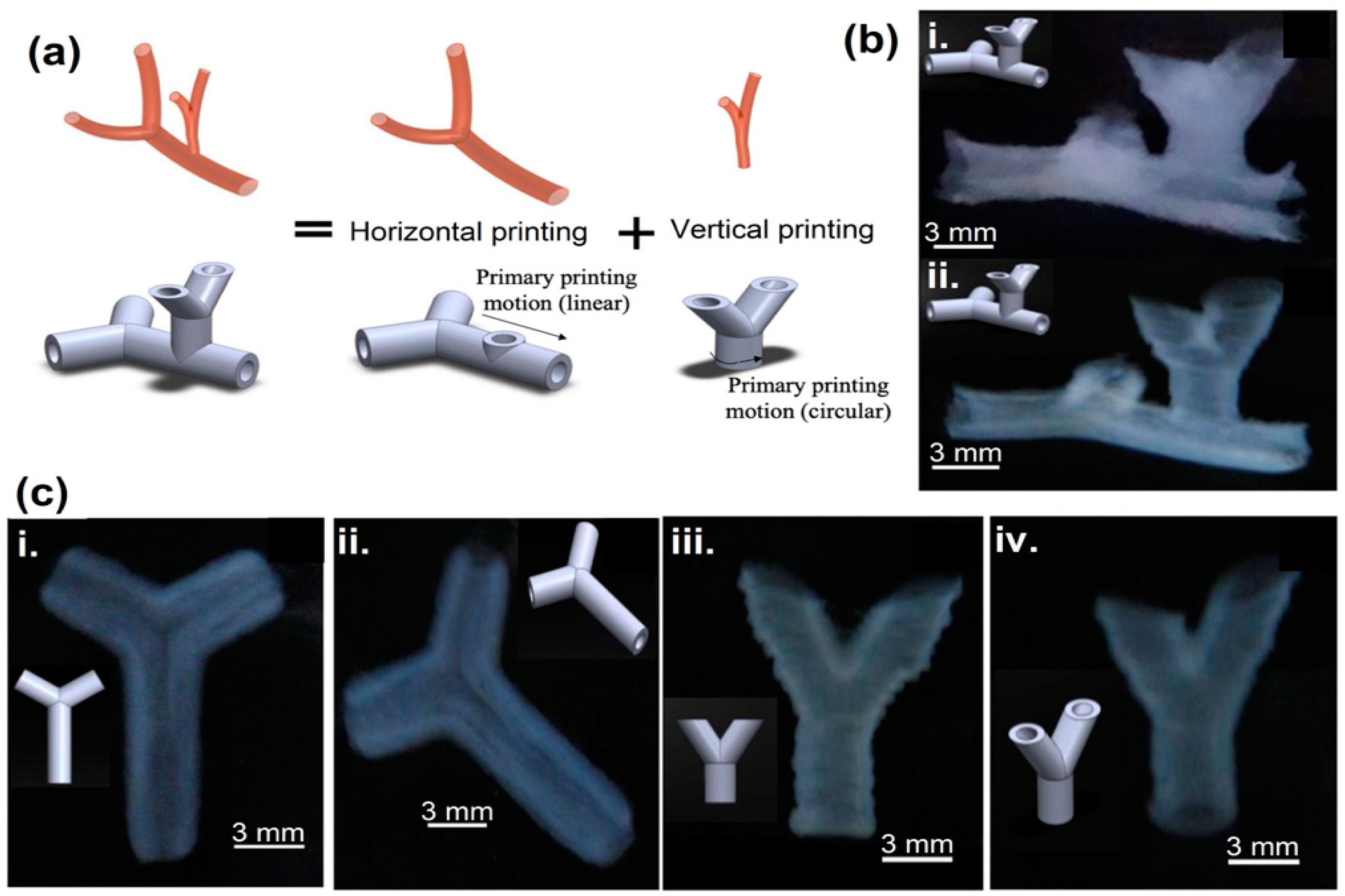Polymers 15 04122 g008 Polymers 15 04122 g008