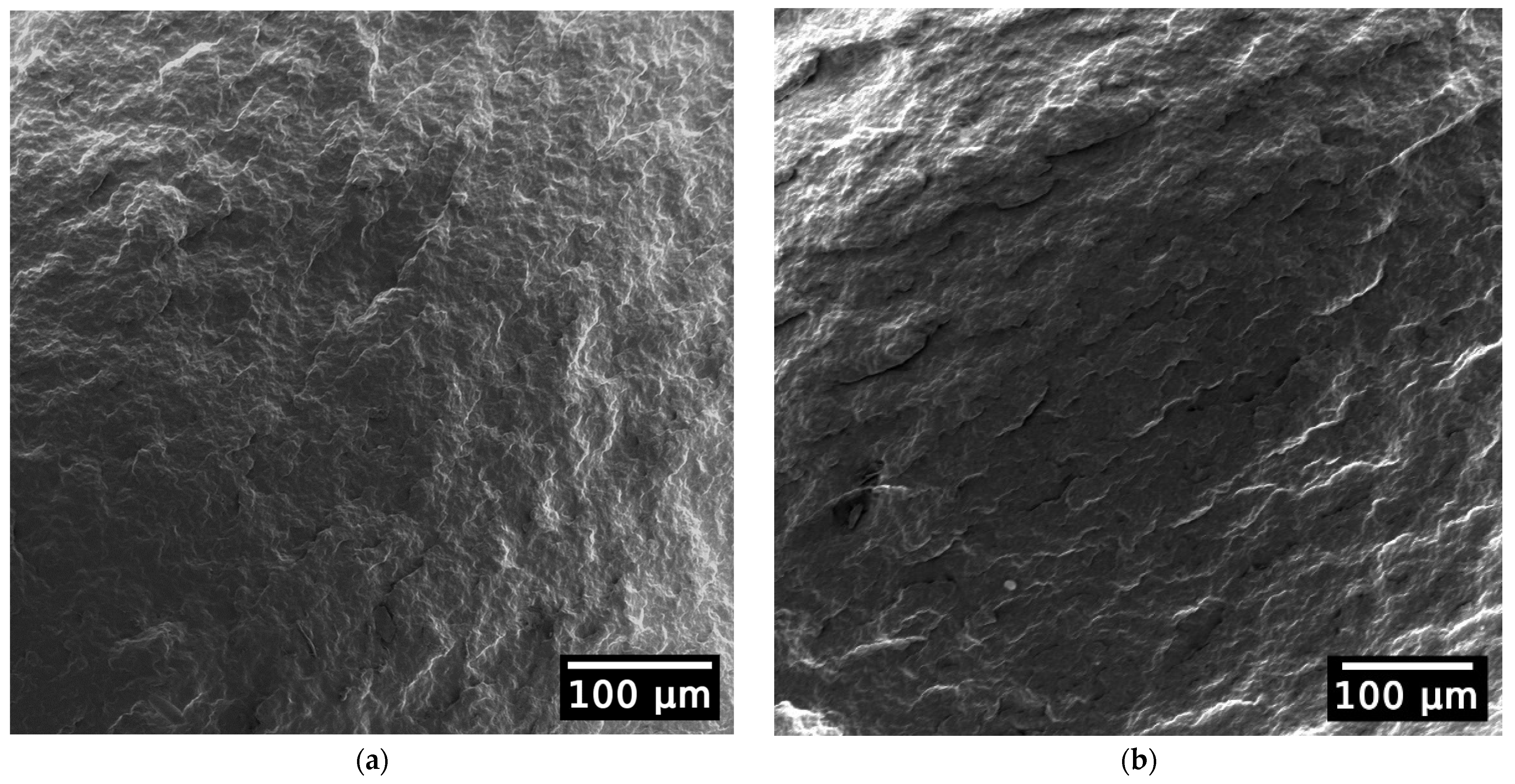 Polymers 15 04126 g007