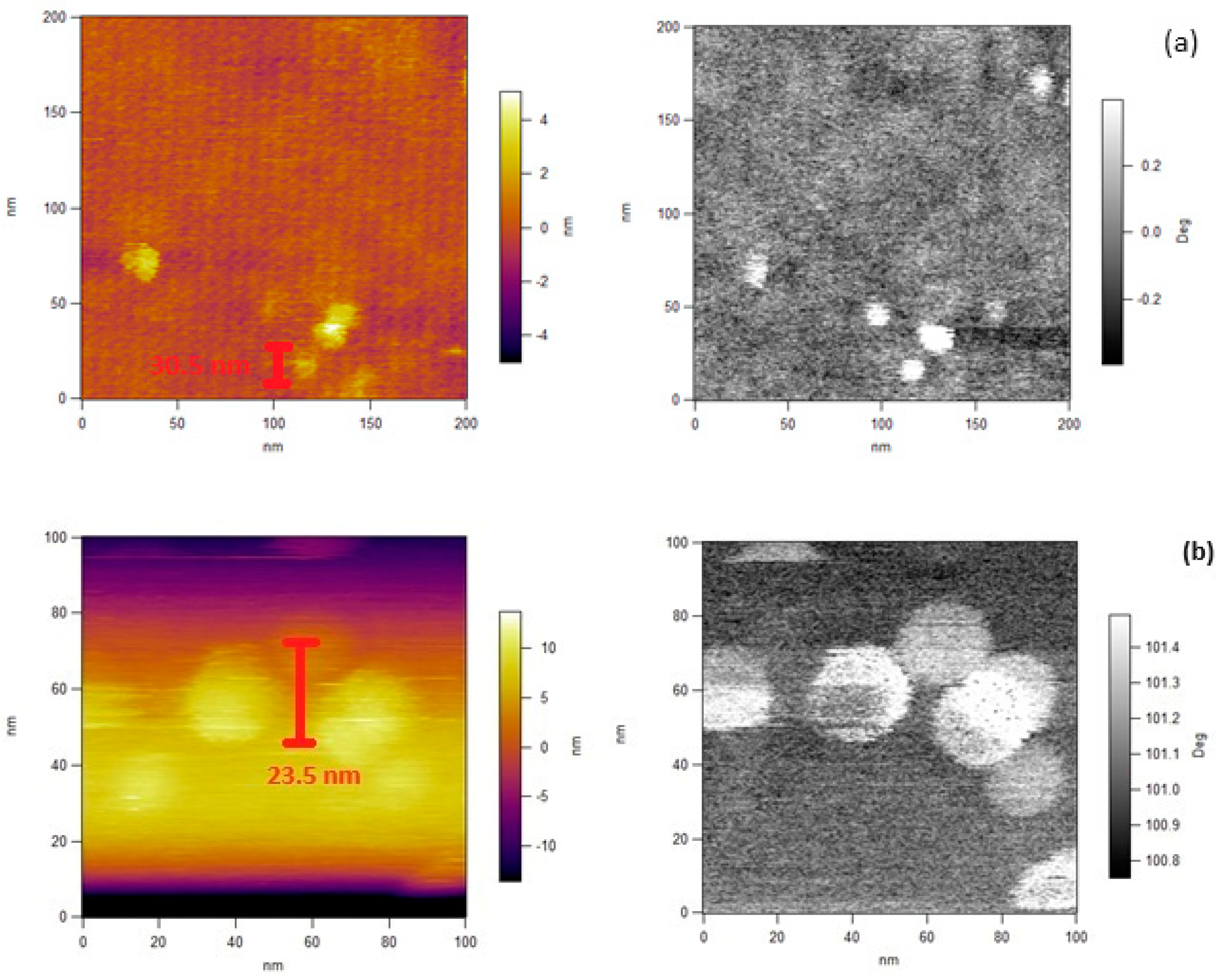 Polymers 15 04128 g006a