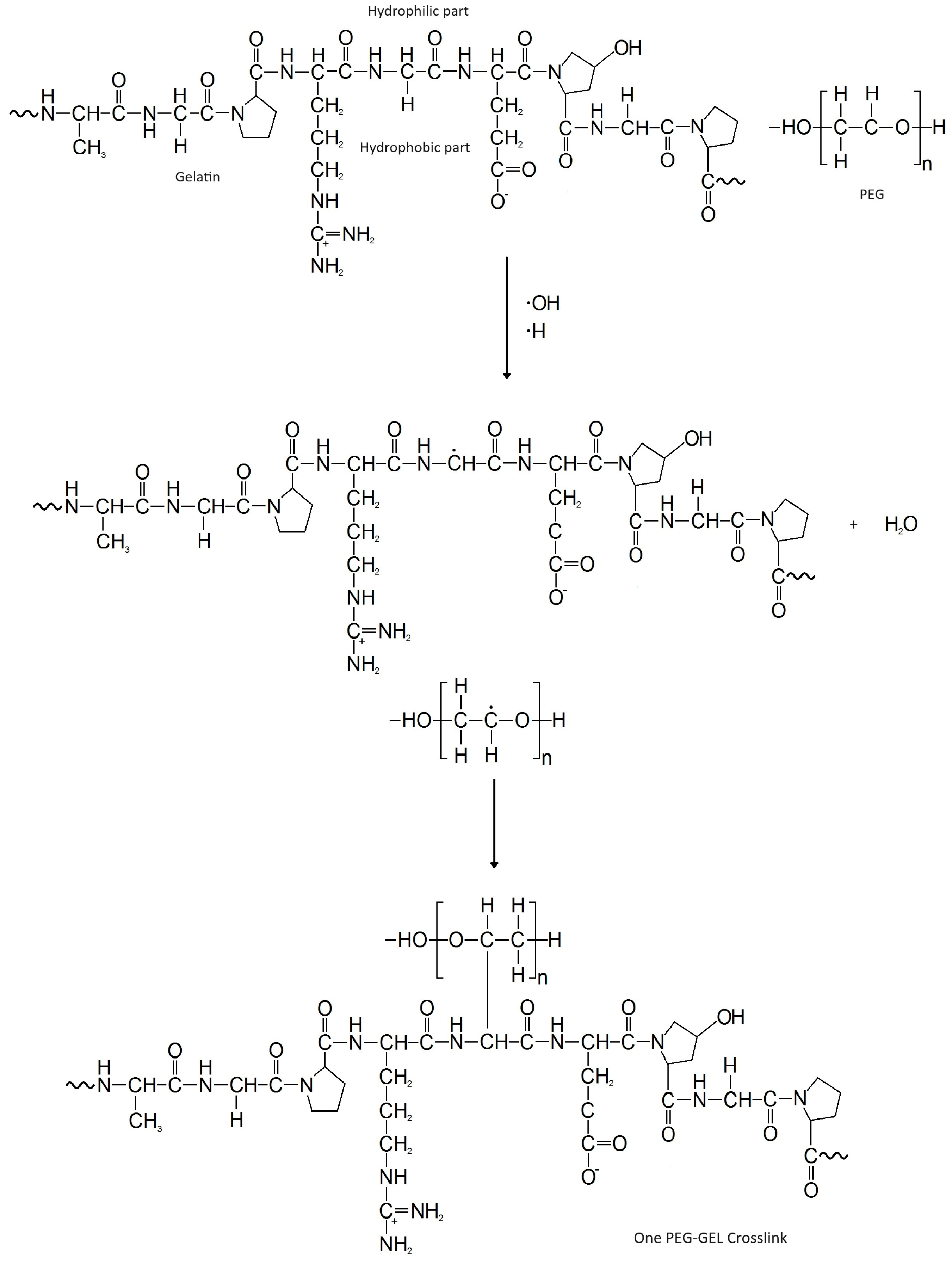 Polymers 15 04128 g007