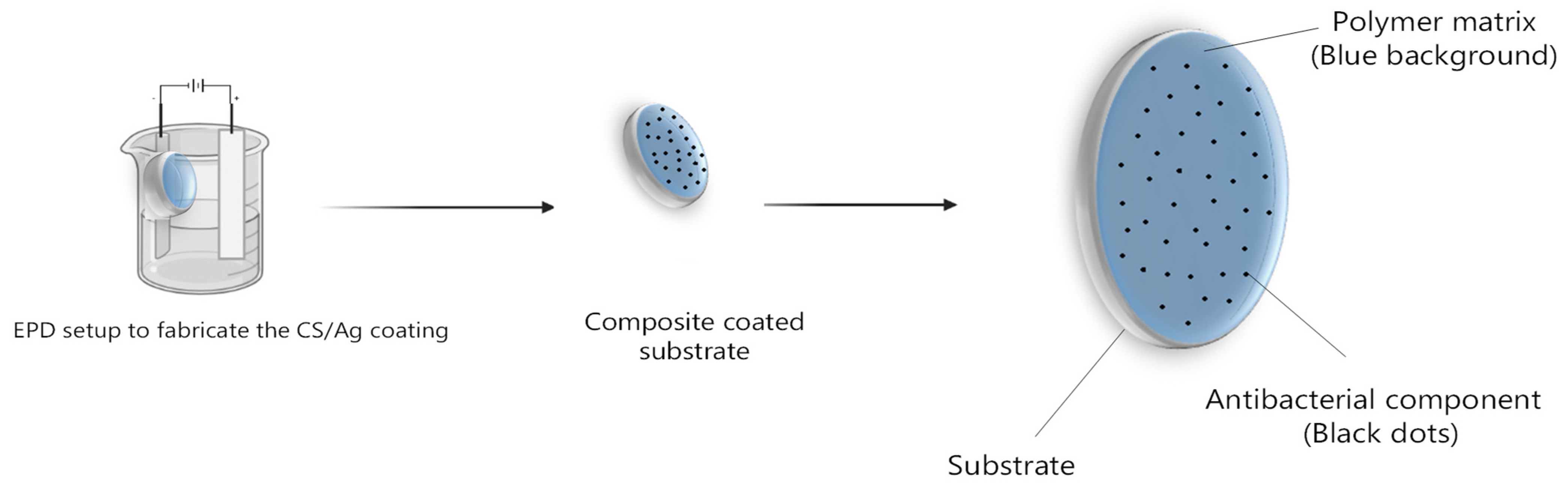 Polymers 15 04130 g001