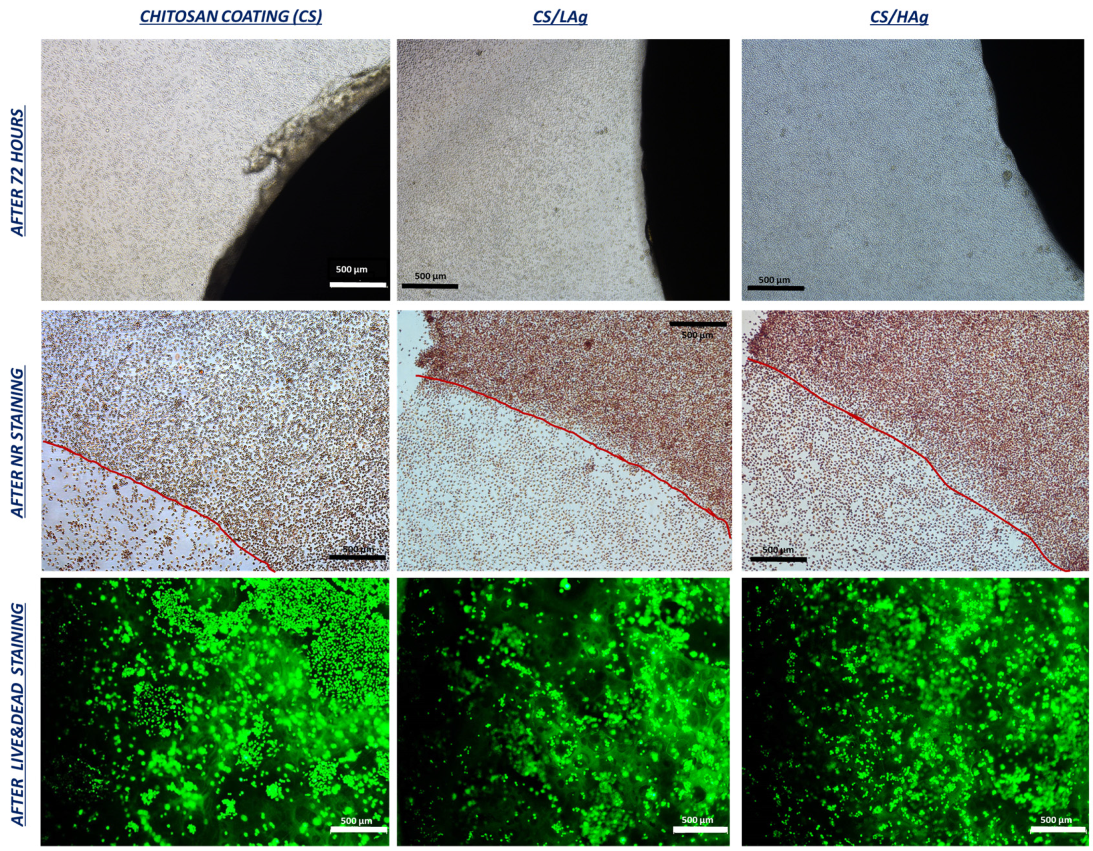 Polymers 15 04130 g005