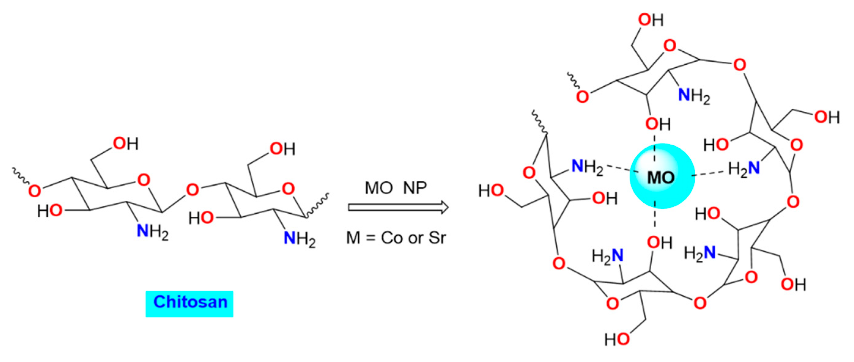 Polymers 15 04132 g001