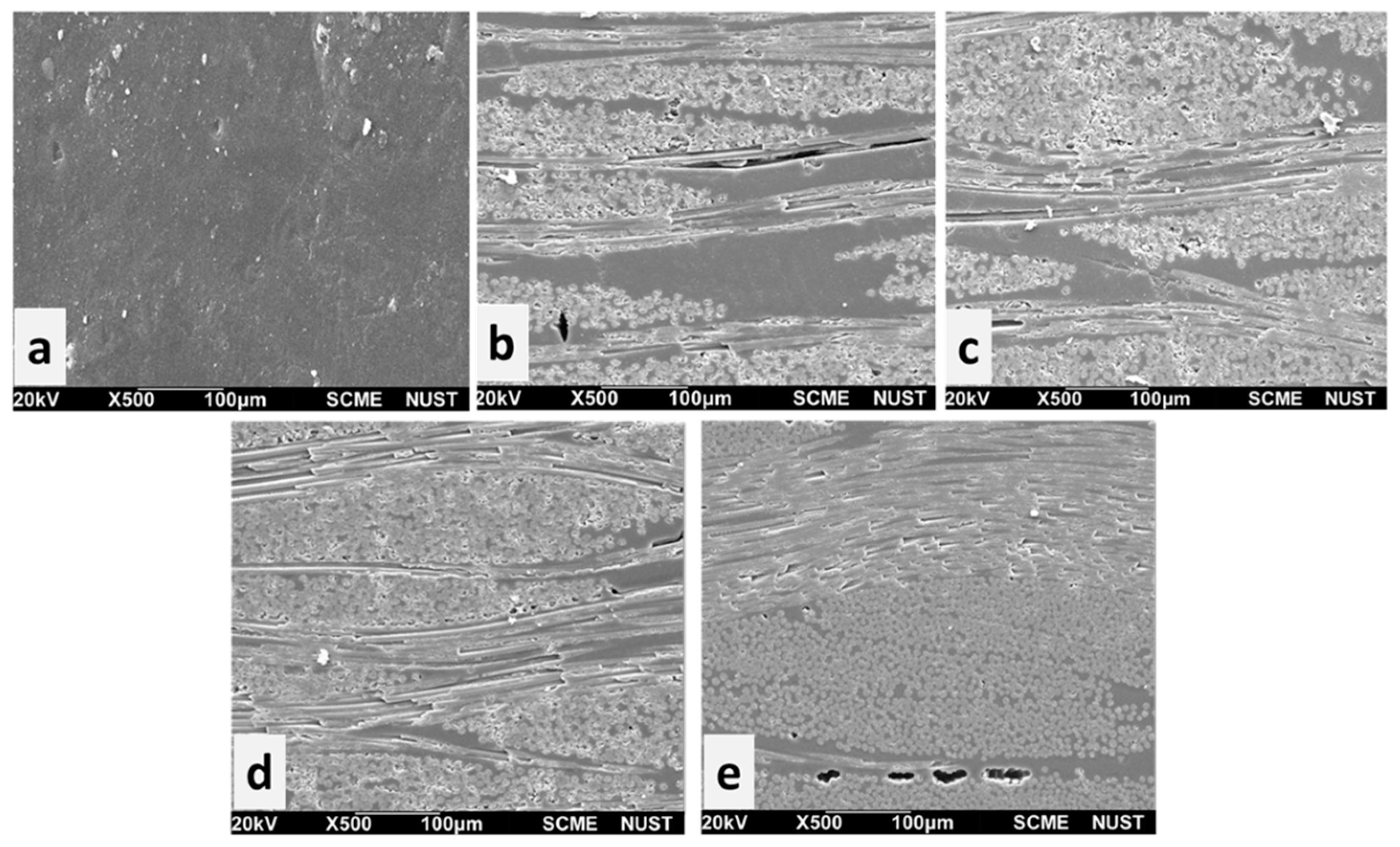 Polymers 15 04133 g004