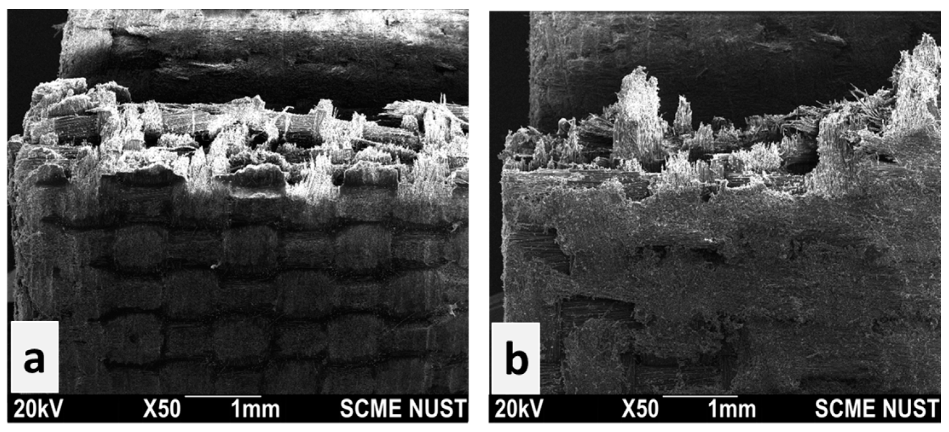 Polymers 15 04133 g006
